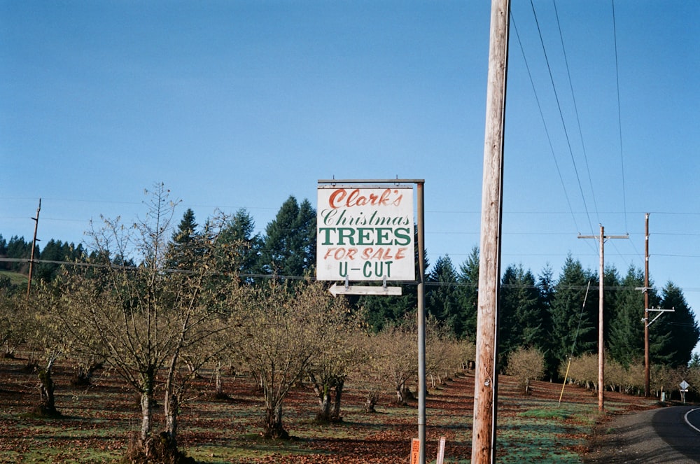 a sign on the side of a road that says clark's christmas trees for