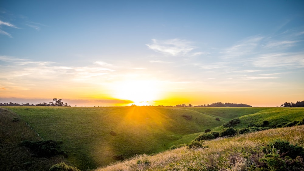 the sun is setting over a grassy field