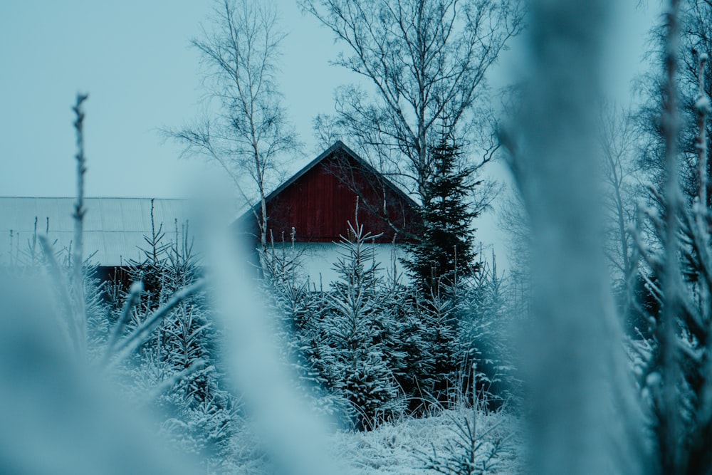 a red barn in the middle of a snowy field