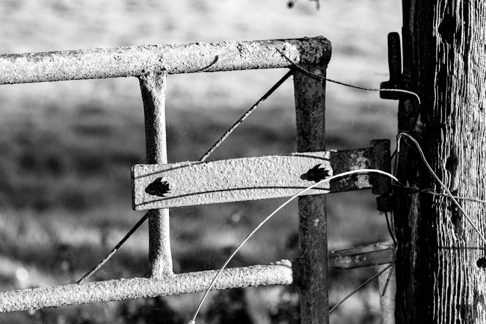 a rusted metal fence with barbed wire