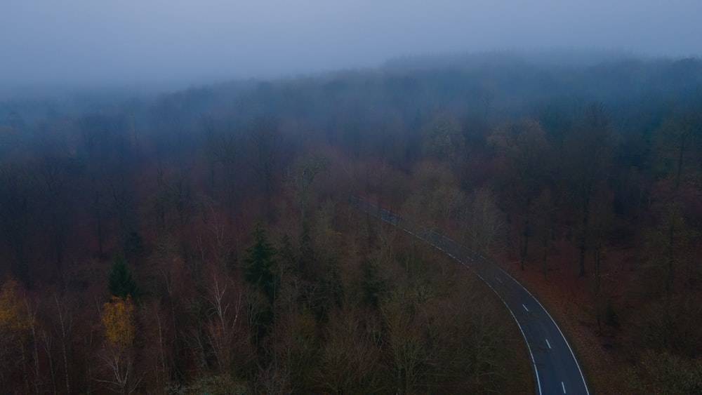 a road in the middle of a foggy forest