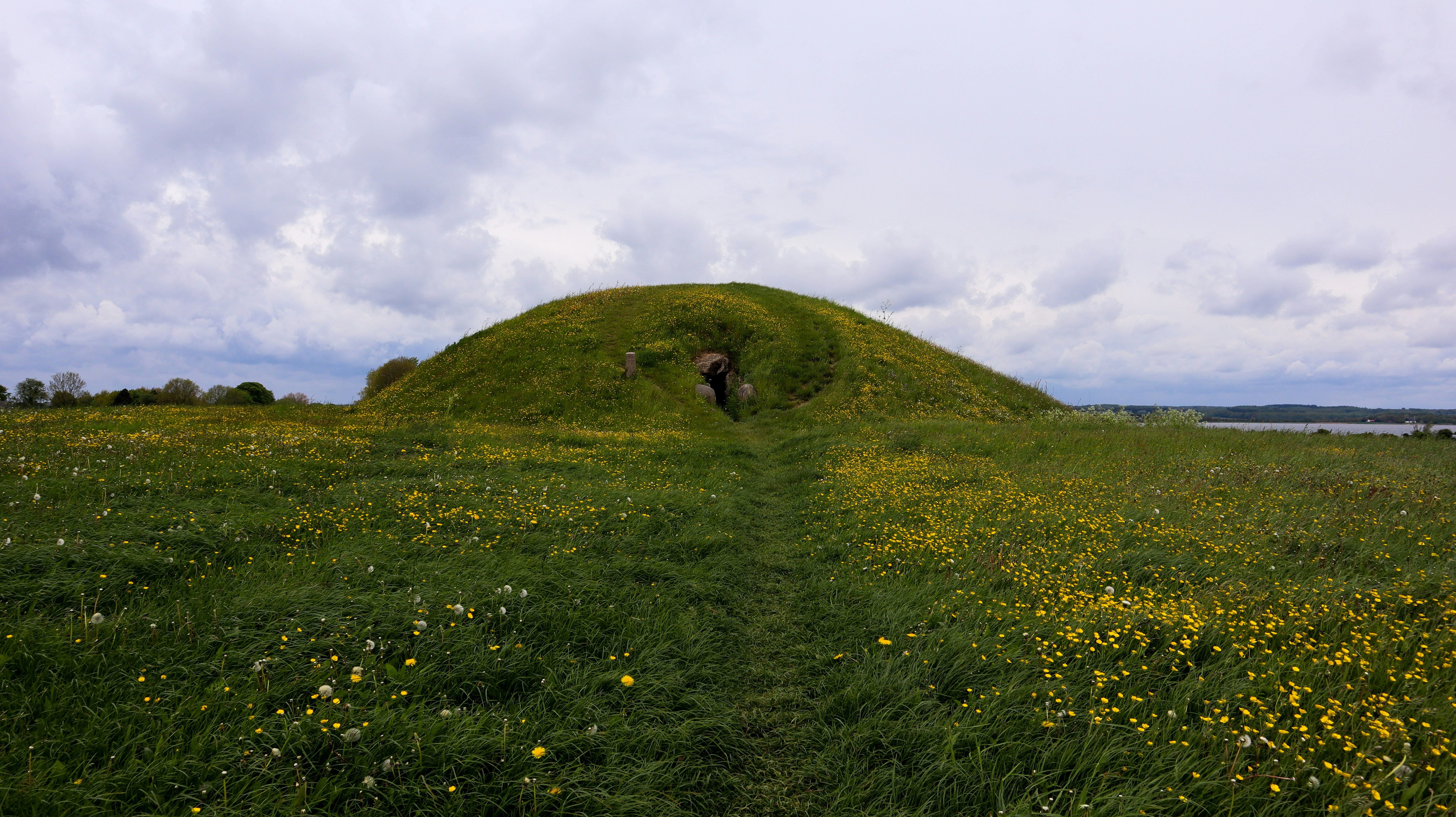 Burial mound in a green grassy meadow full of dandelions