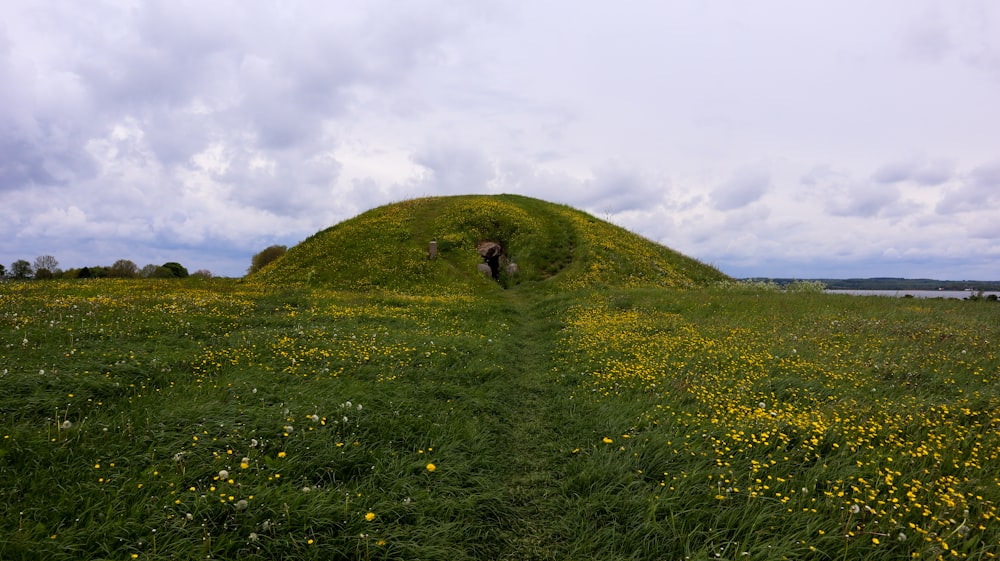 a grassy field with a mound in the middle of it