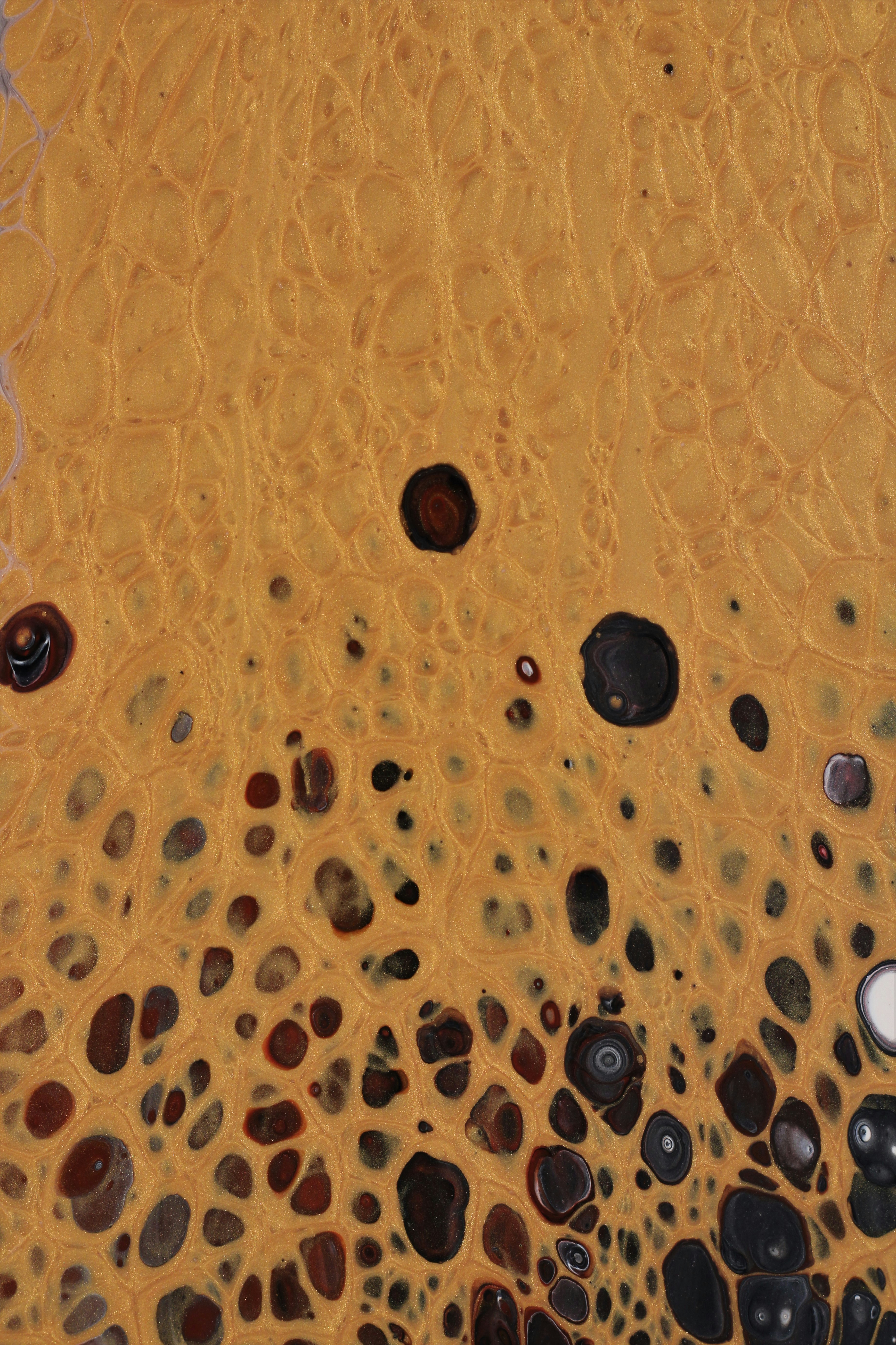 A close up of rocks and water on a surface photo – Free Pattern Image ...