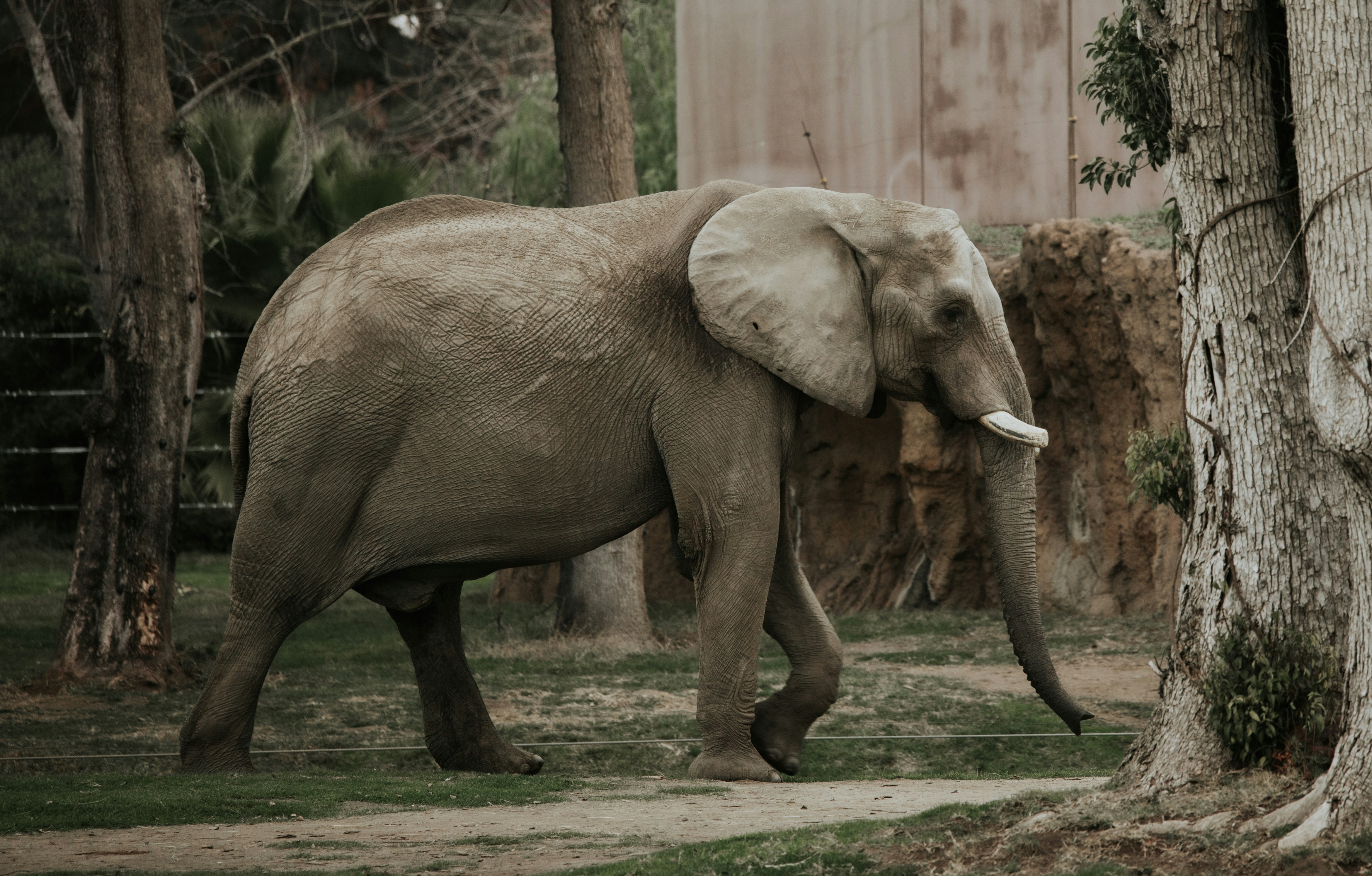 Photo by jeffersonsees