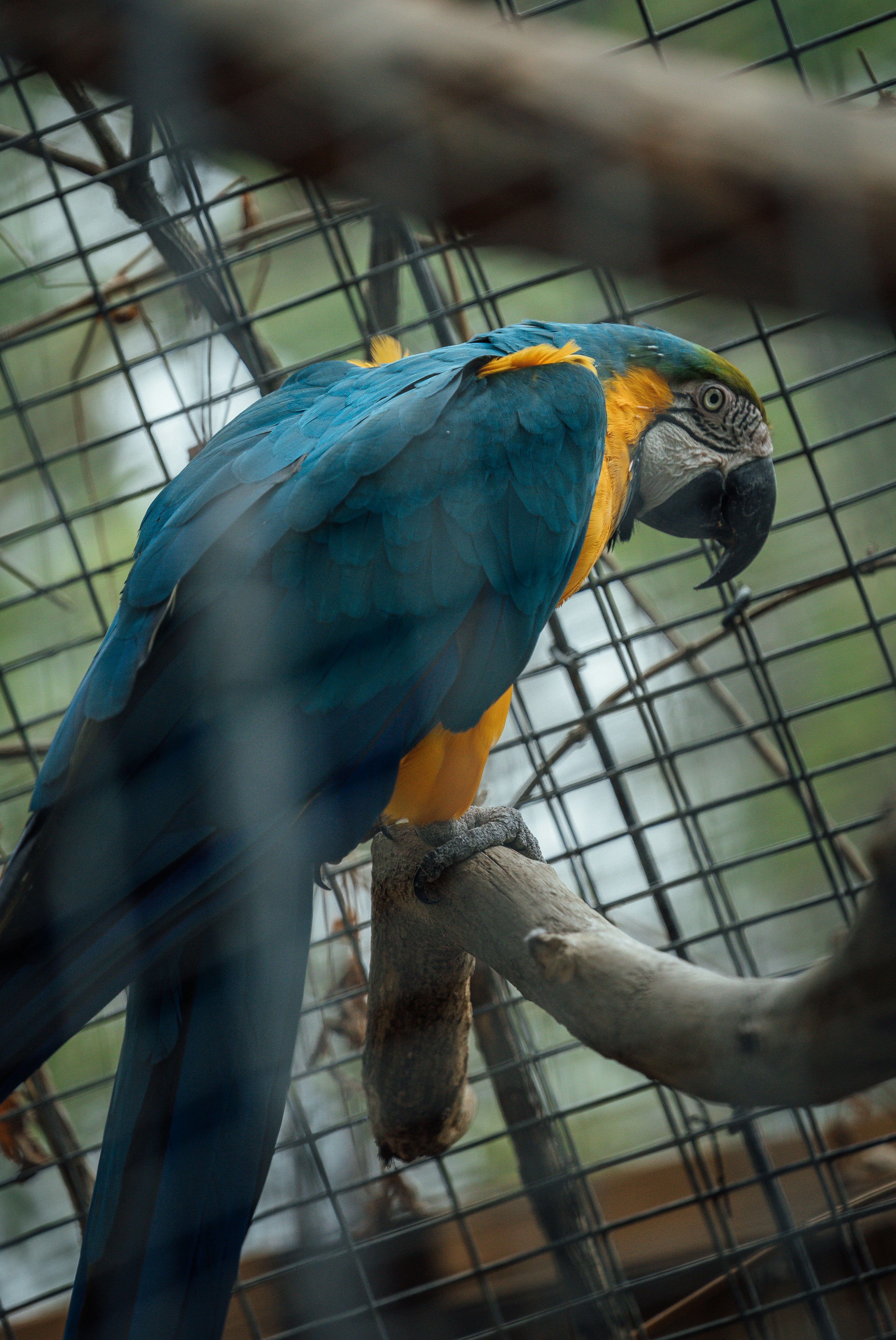 Photo by jeffersonsees