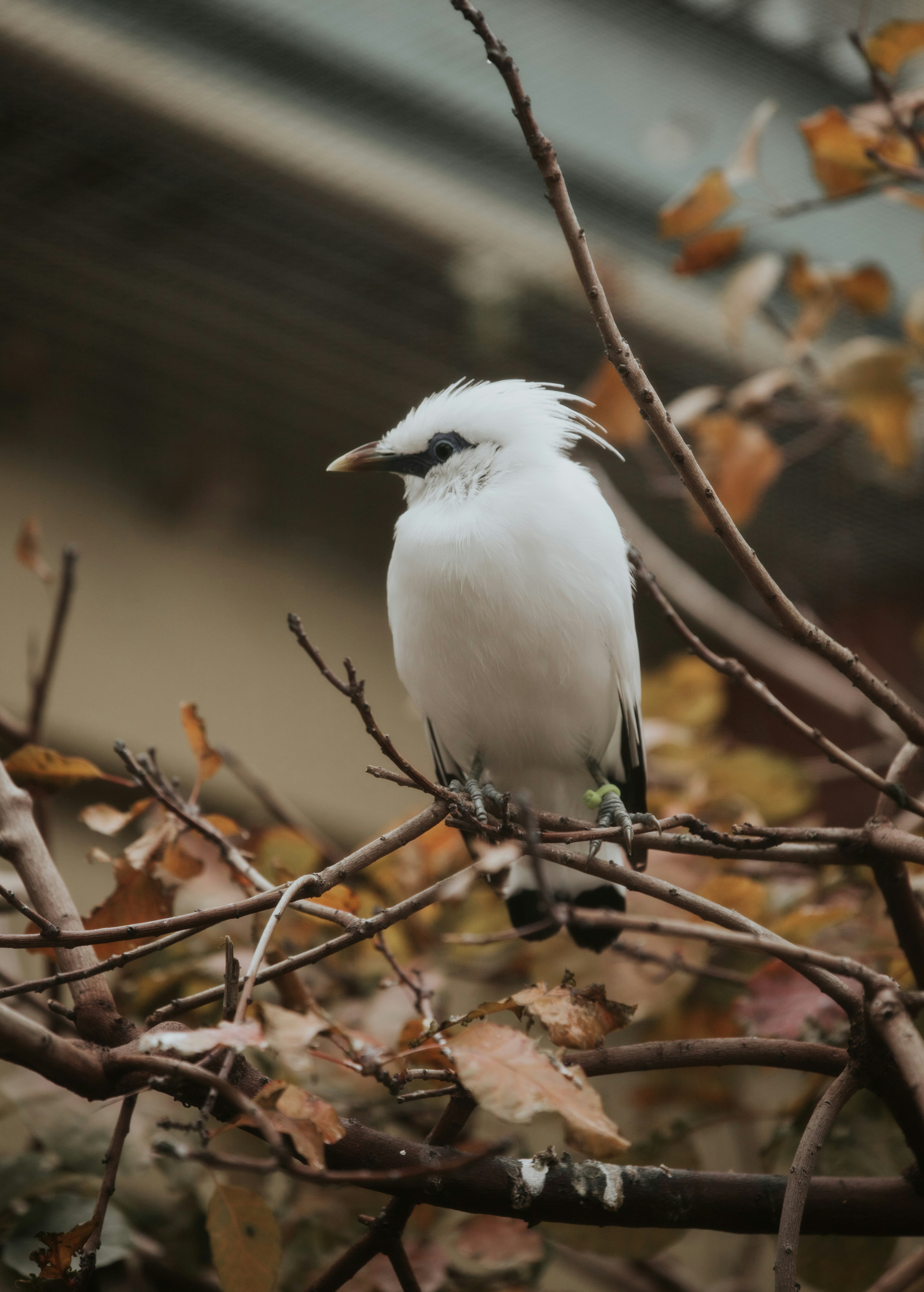 Photo by jeffersonsees