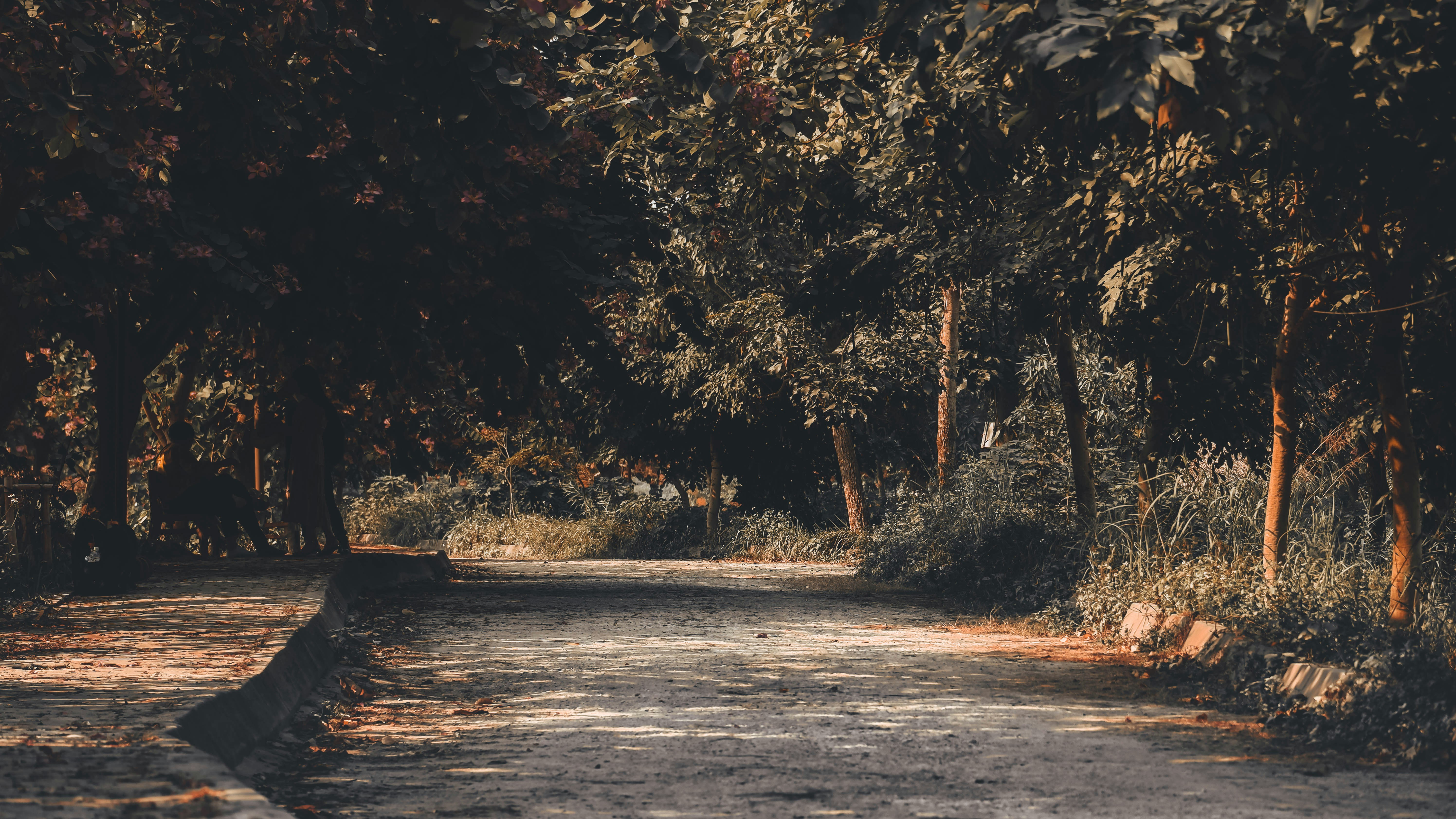 Photo by dying_apricity