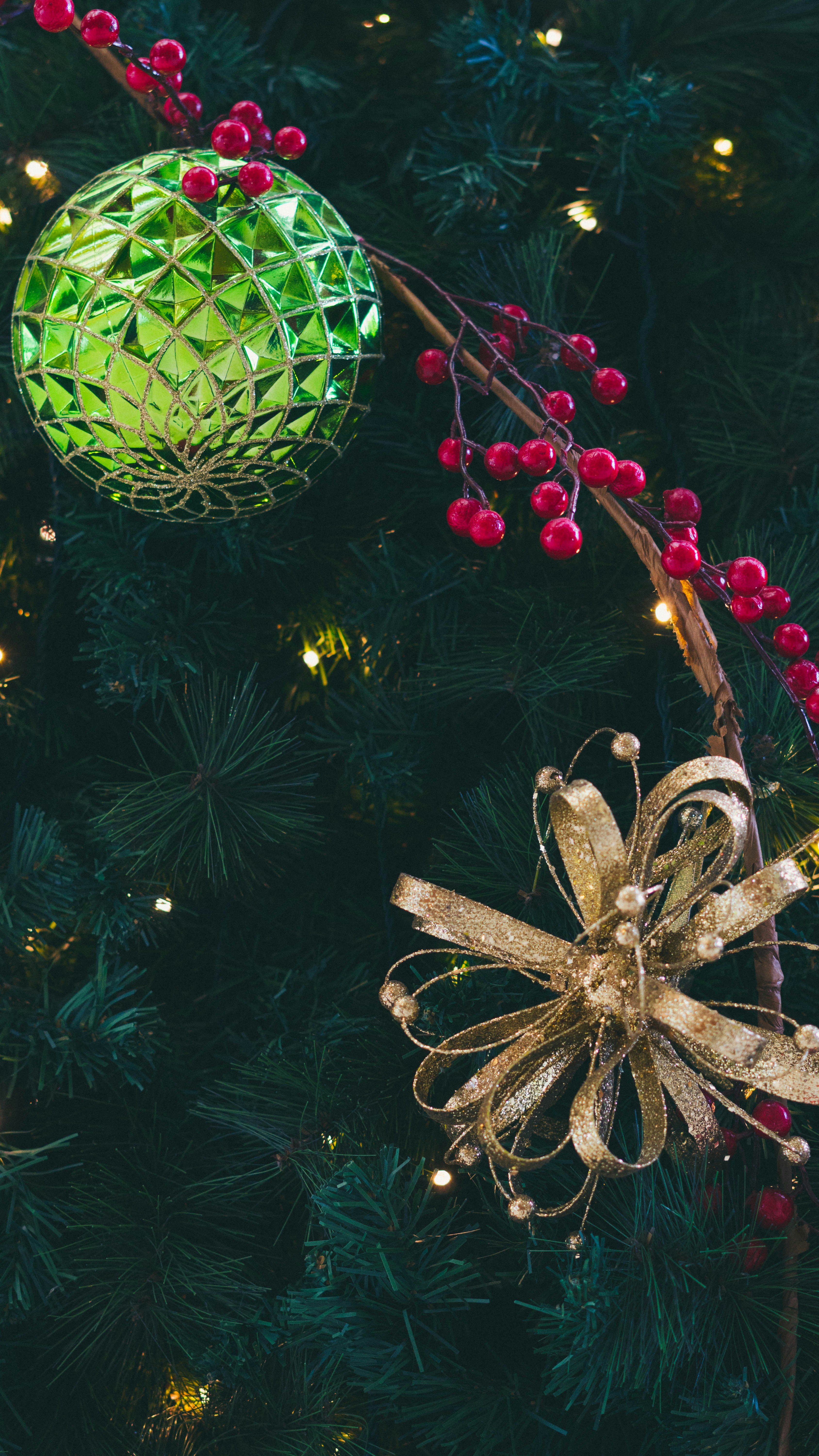 Photo by gustavo0351