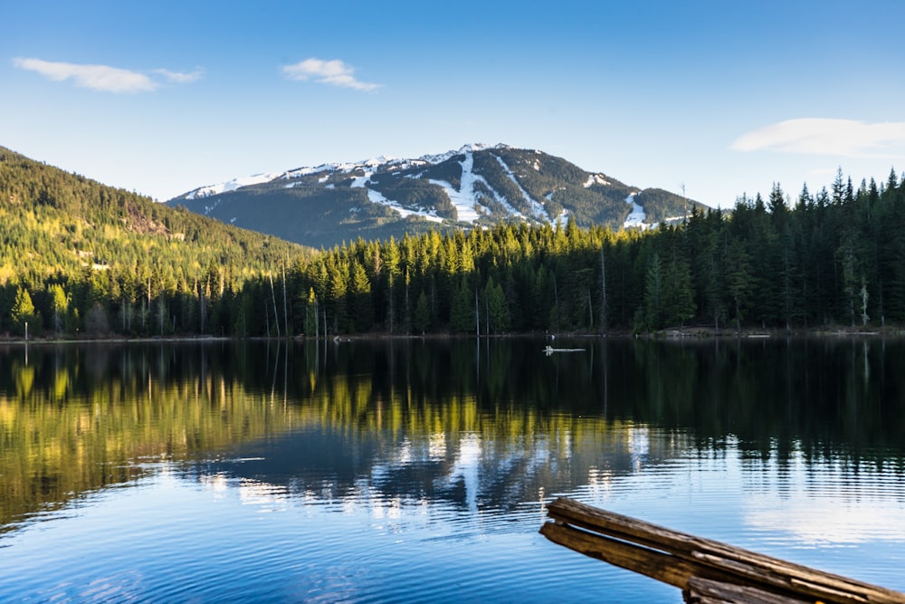 a lake surrounded by a forest with a mountain in the background