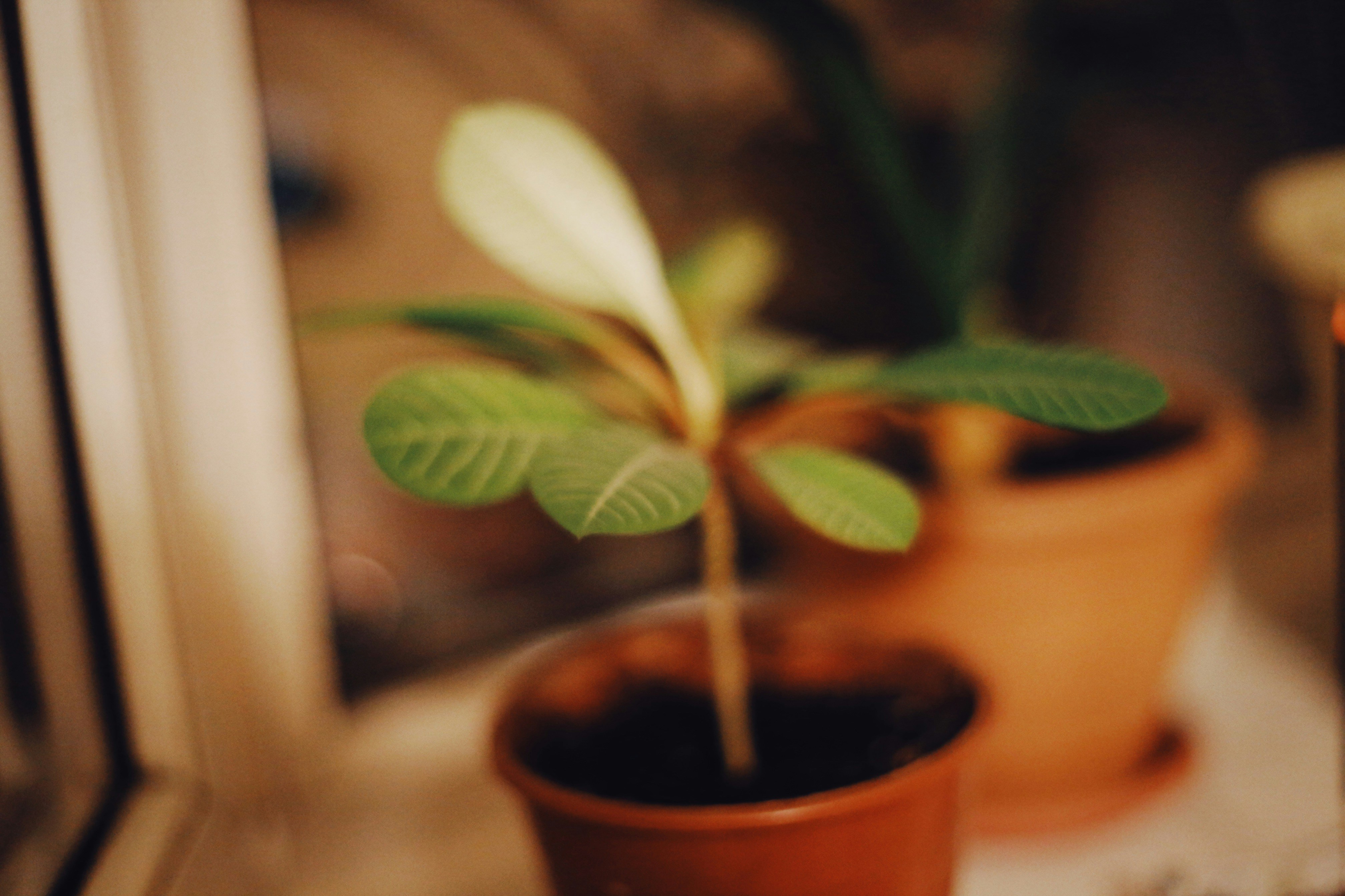 Photo by alexeydemidov