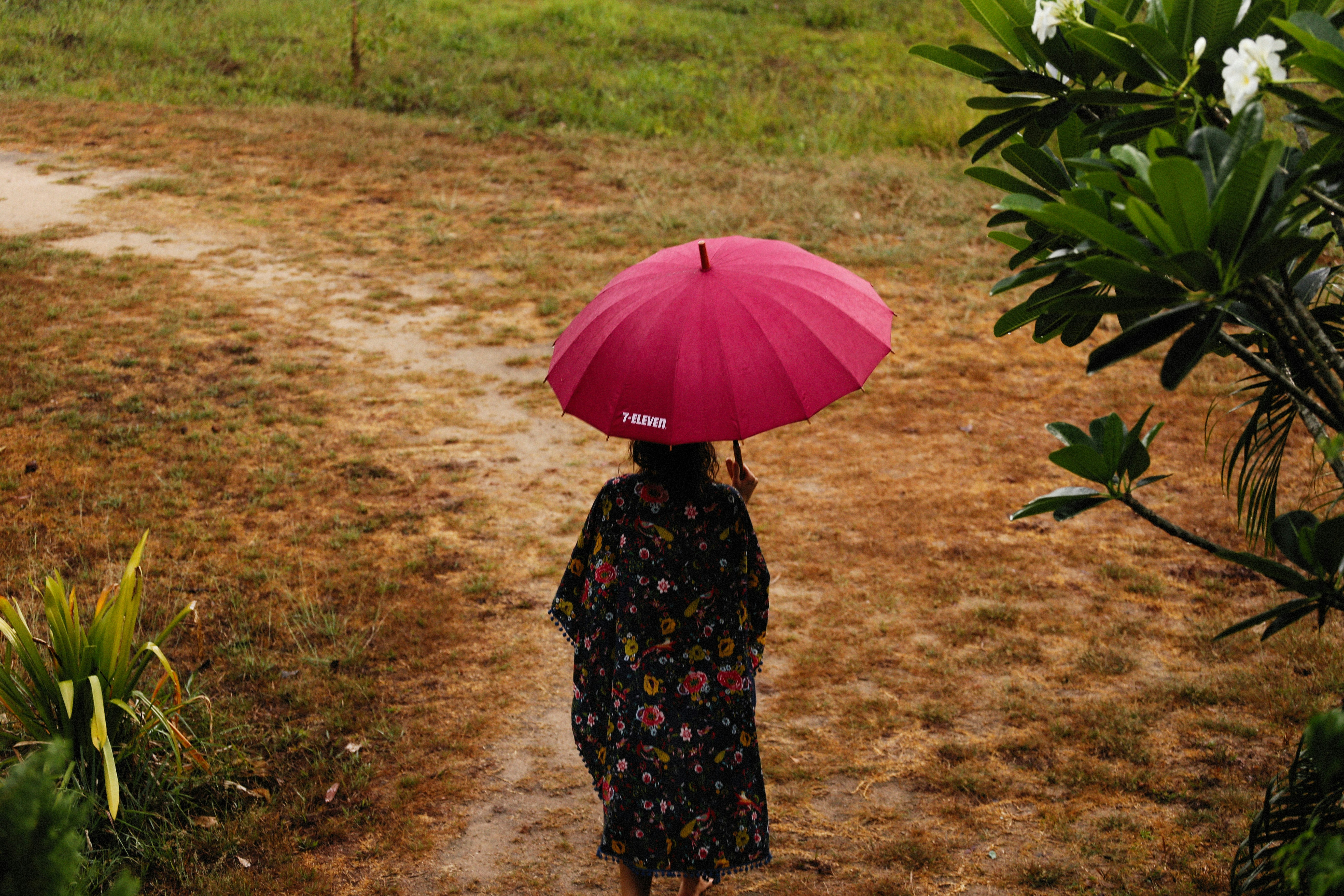 Photo by alexeydemidov