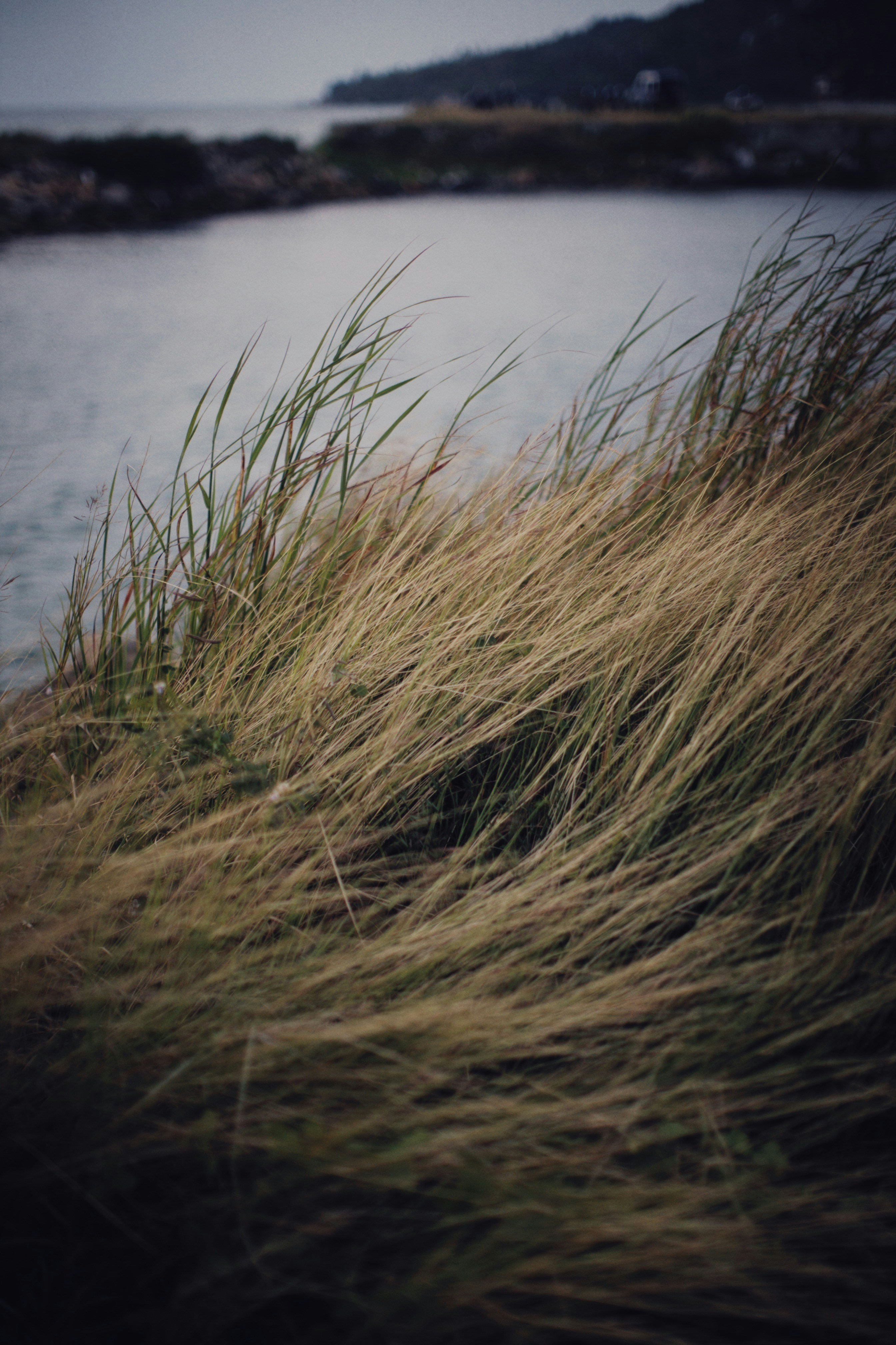 Photo by alexeydemidov