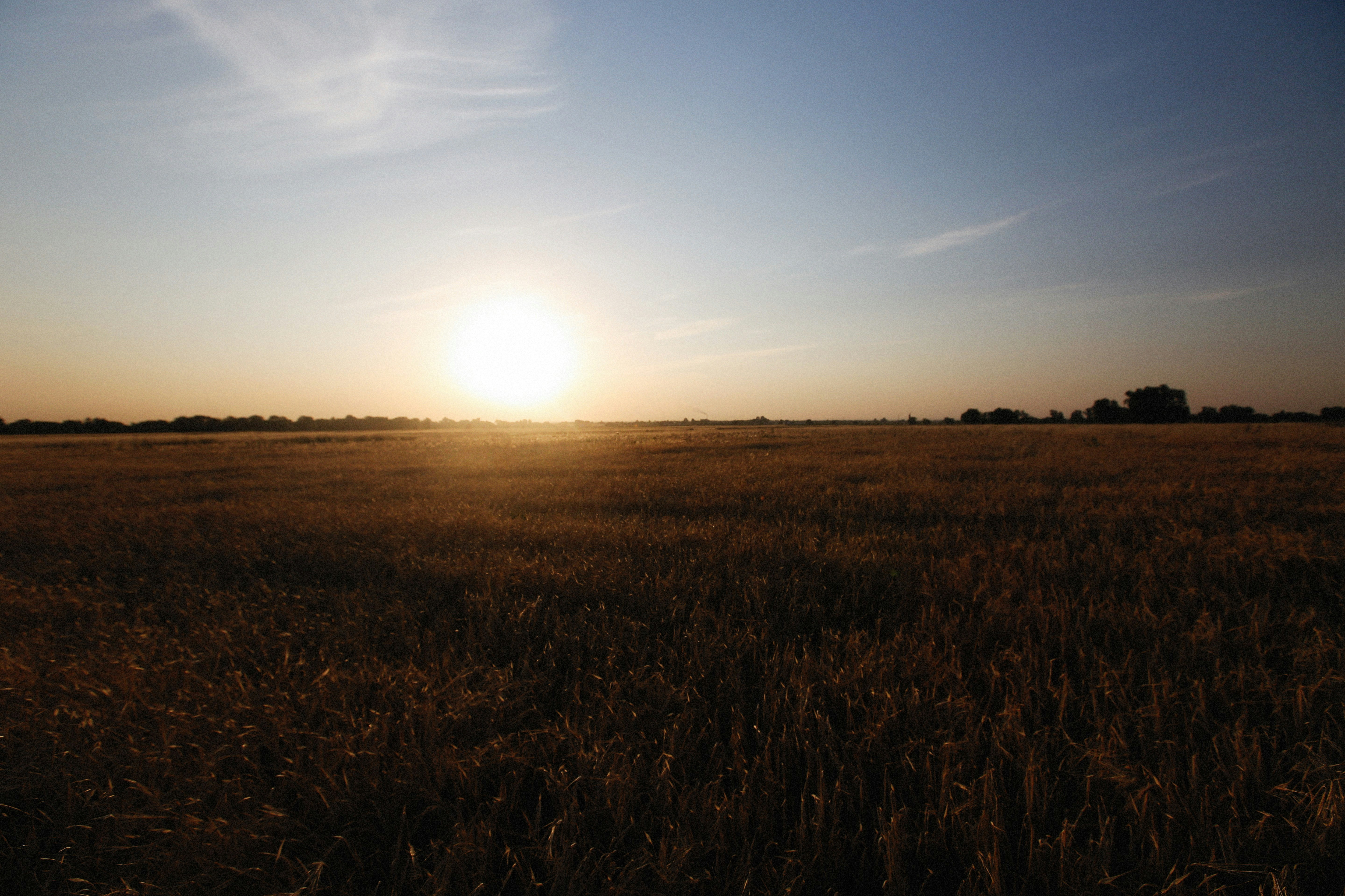 Photo by alexeydemidov