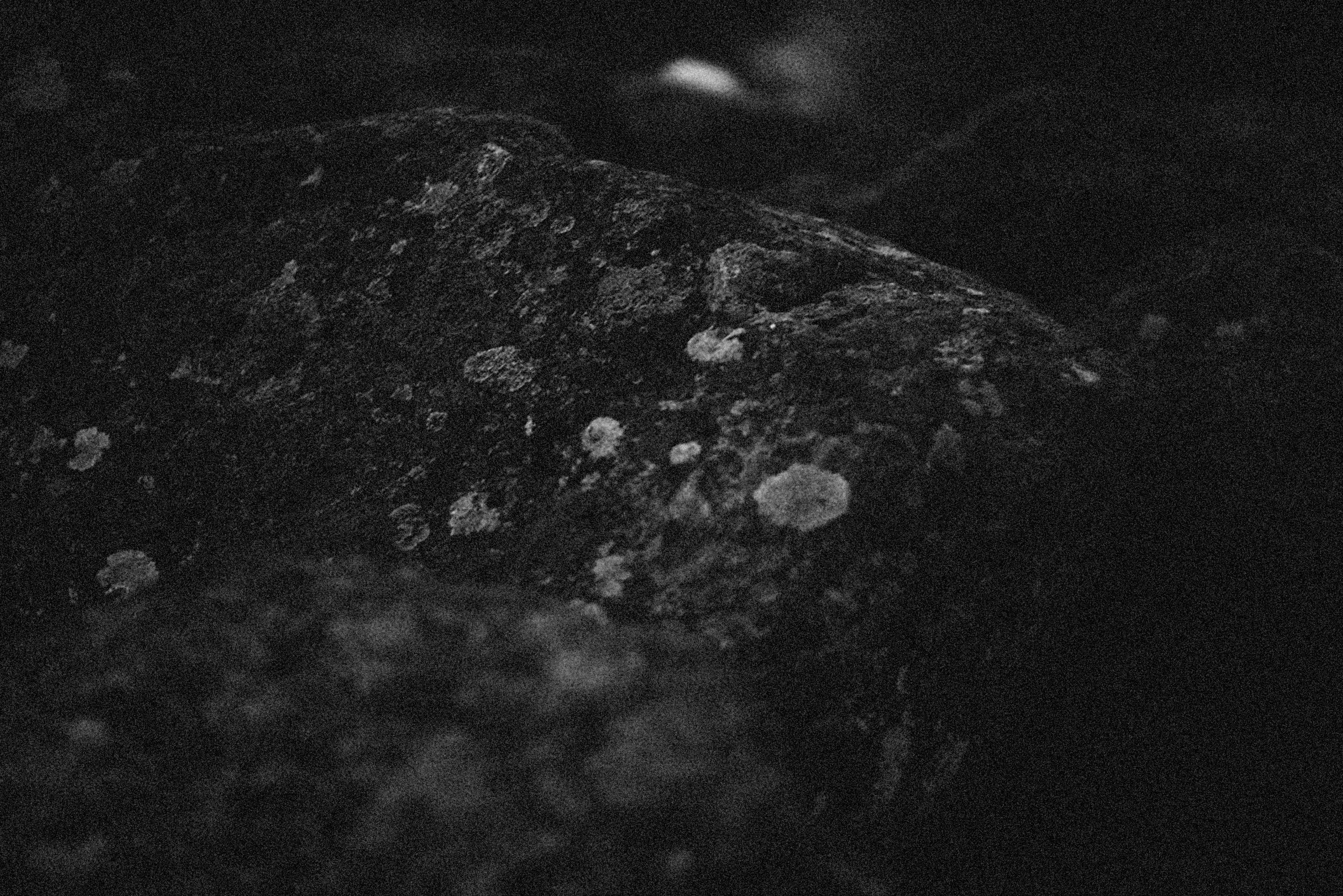 Photo by alexeydemidov