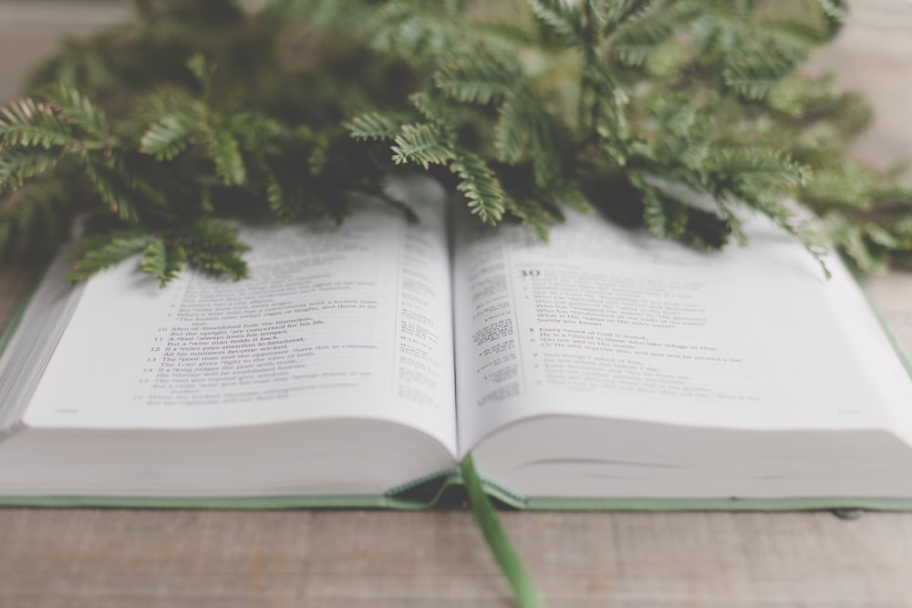 a close up of an open book on a table