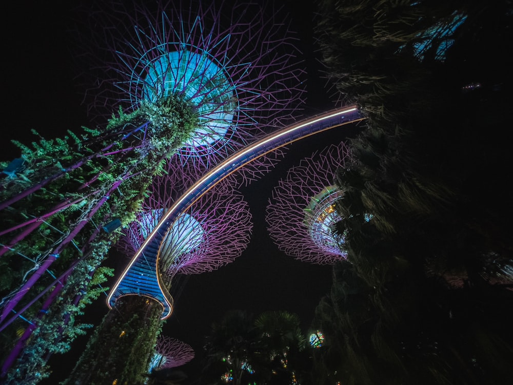 a night view of the gardens by the bay in singapore