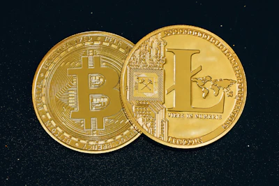 Palm Bay, Florida: A Retiree's Paradise and a Crypto Hub in the Making?