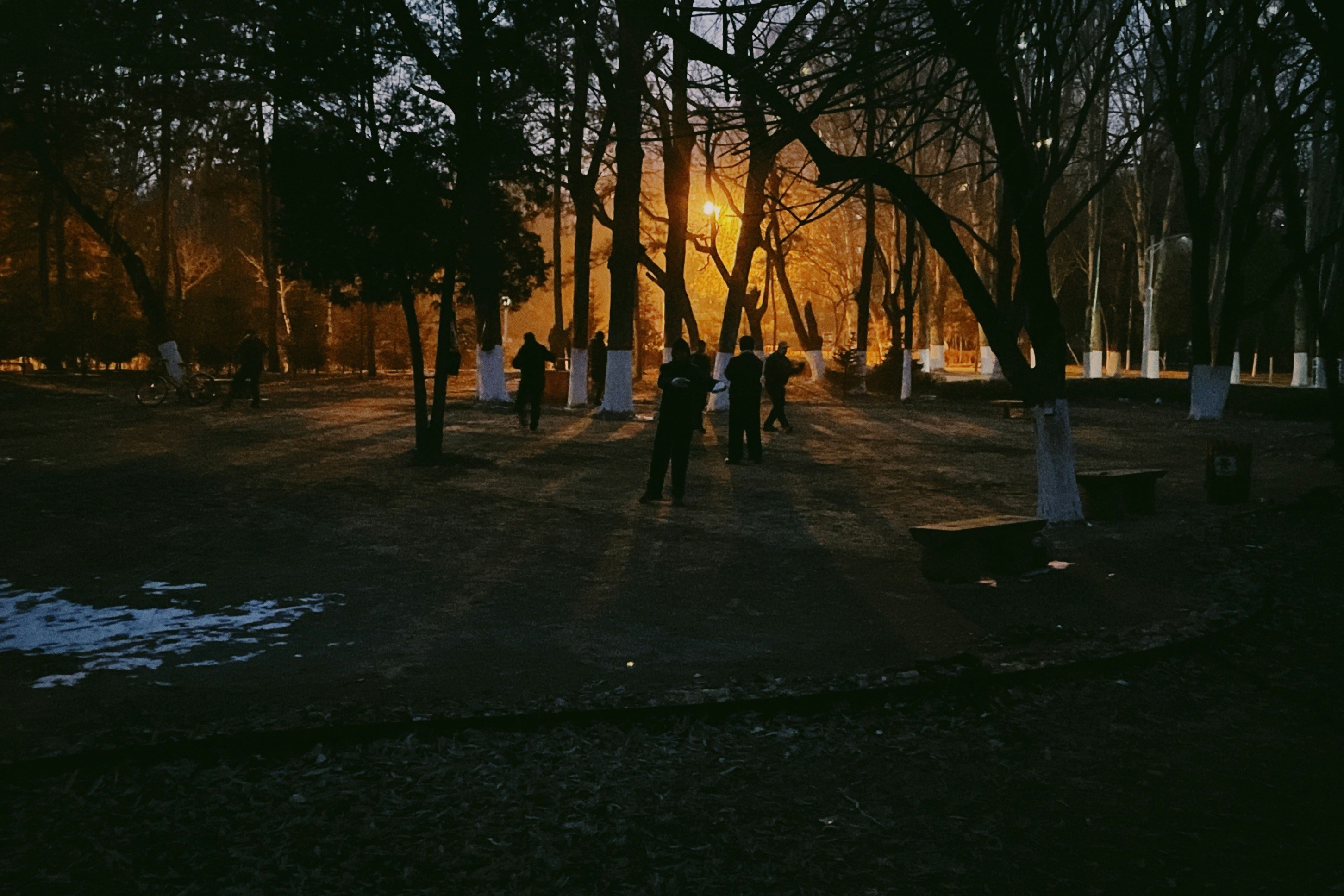 Photo by nasen