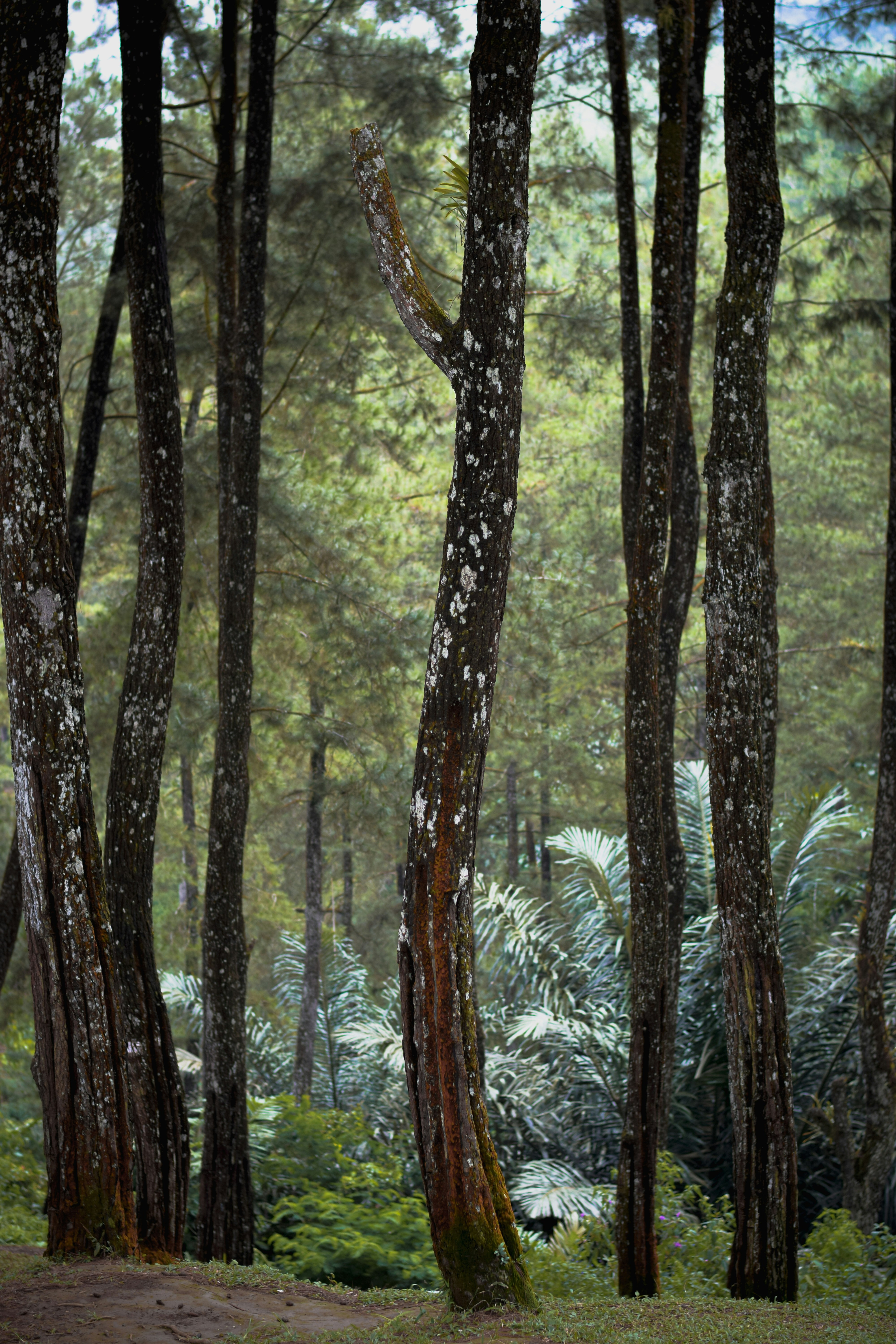 Photo by hydngallery