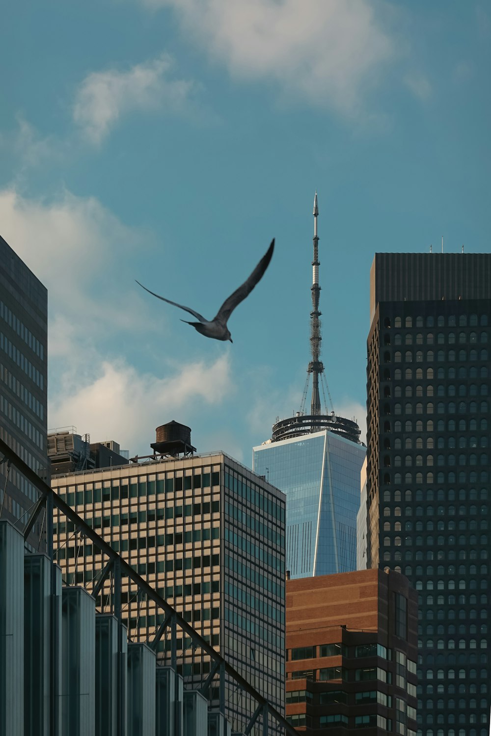 a bird flying over a city with tall buildings