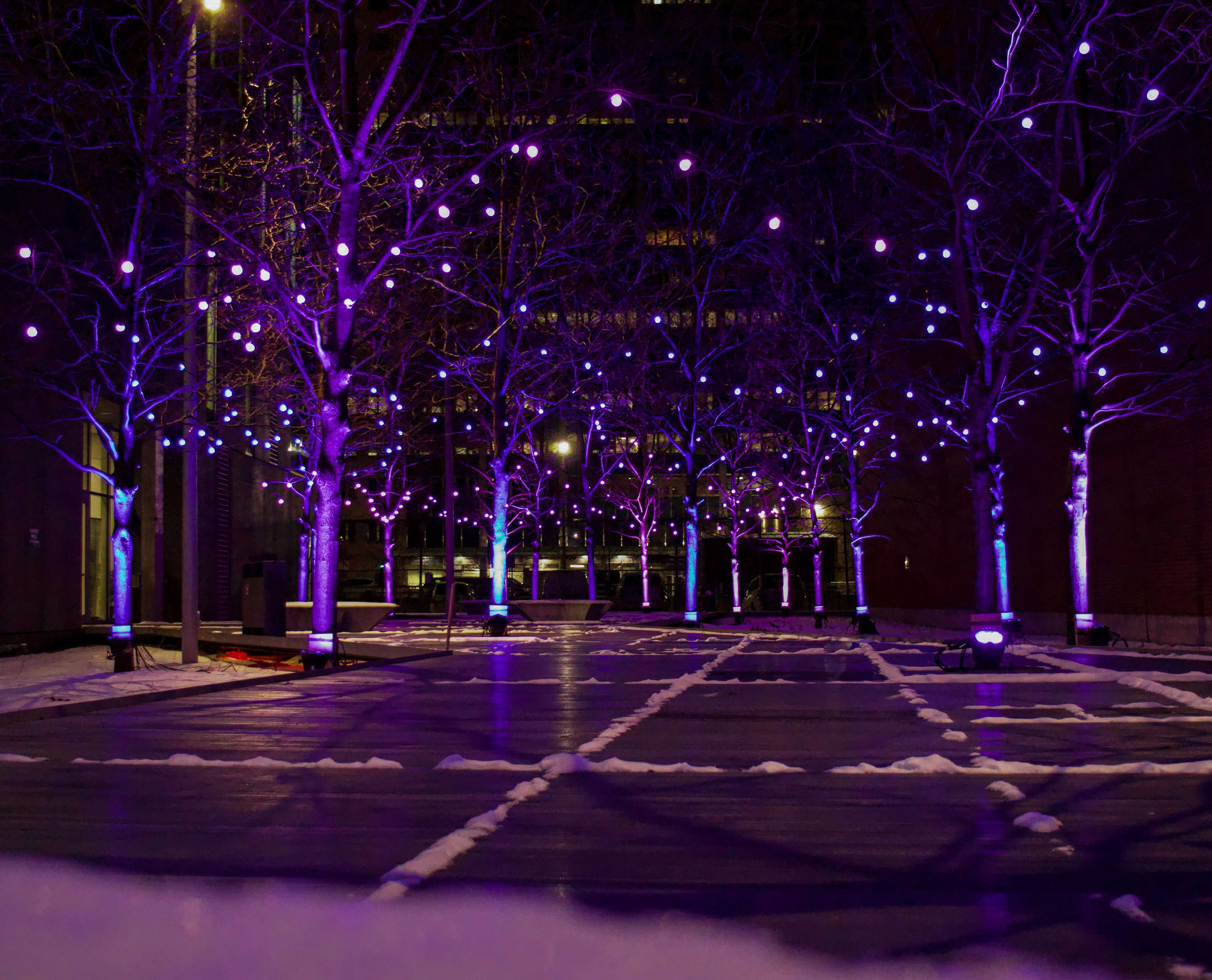 a walkway with purple lights and snow on the ground