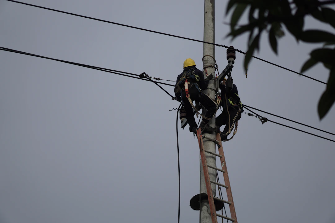 NgachElectric professional team
