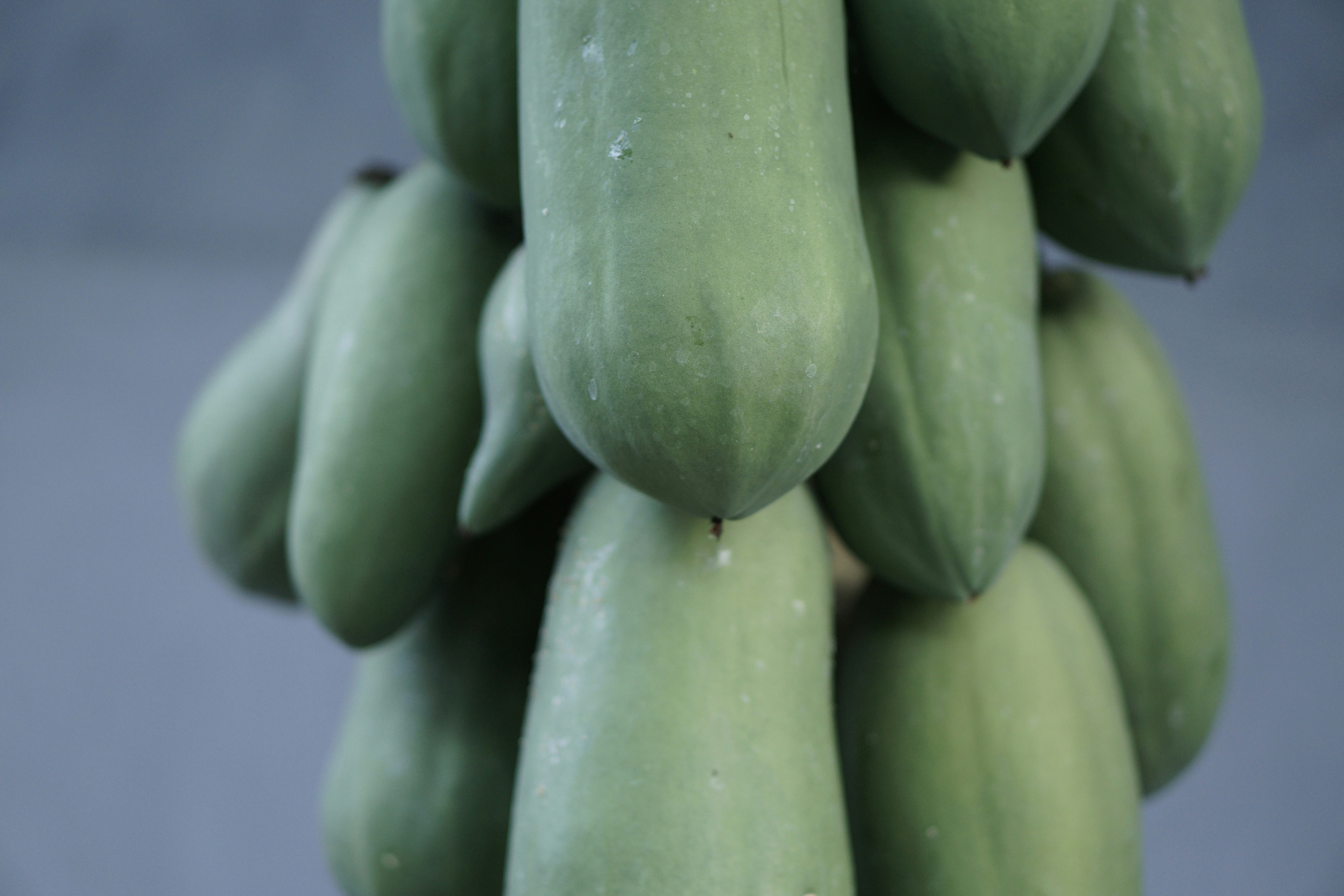 The Benefits of Papaya for Diabetic Patients