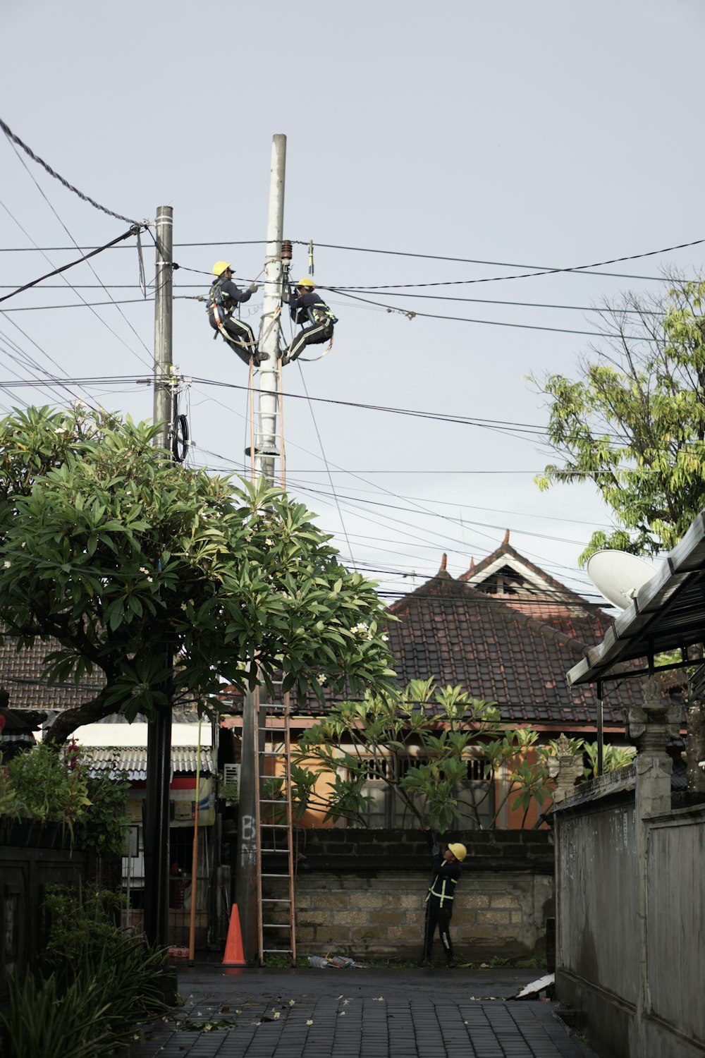 a man on a ladder working on a power line