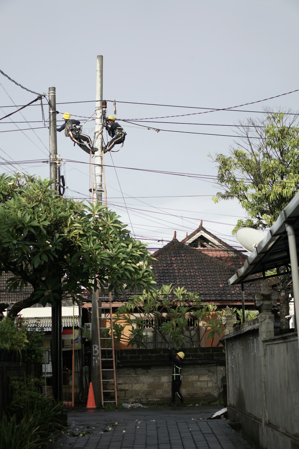 a man on a ladder working on a power line