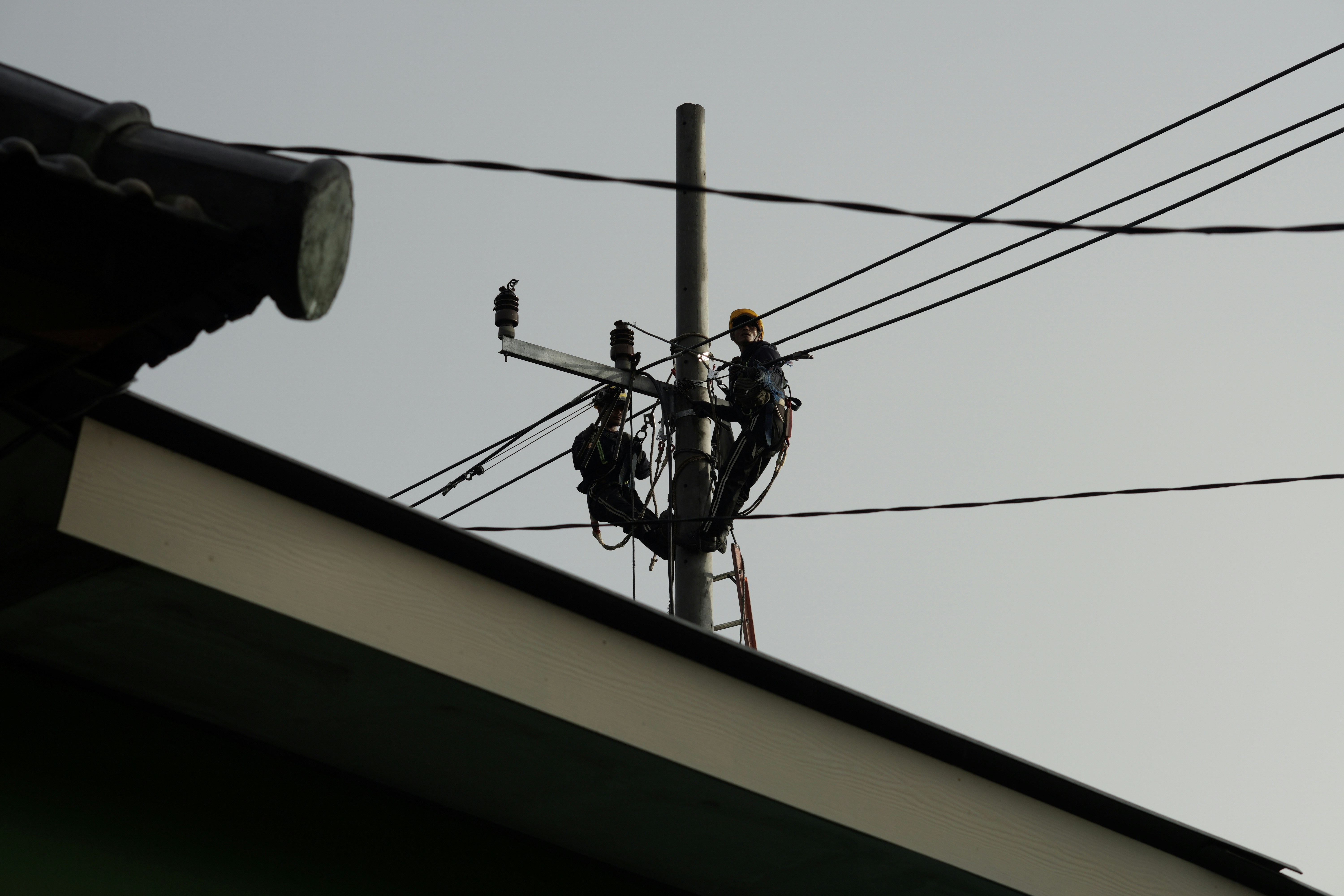 a man on a ladder working on a power line