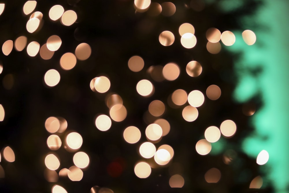 a blurry photo of a christmas tree with lights