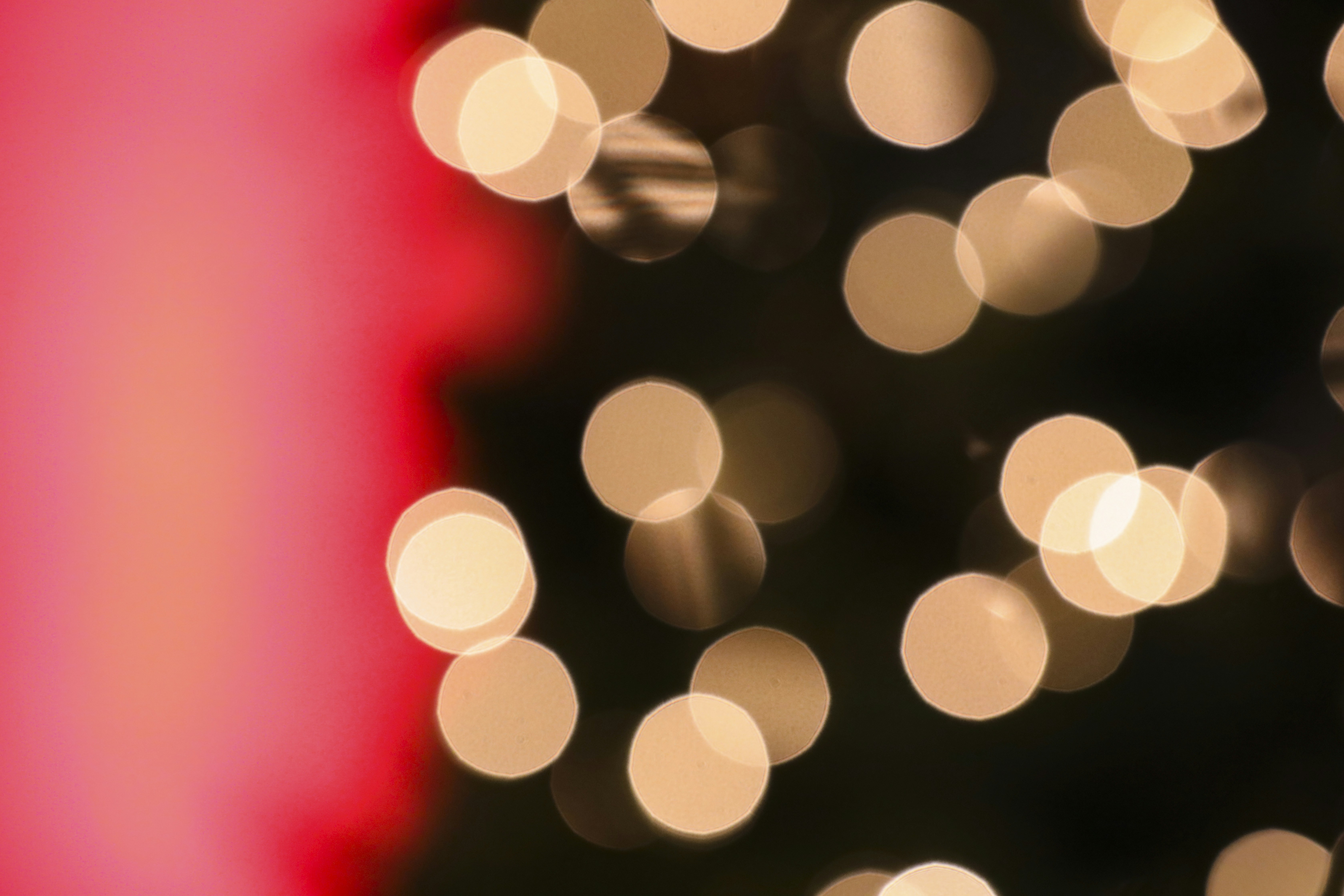 Photo by rocinante_11