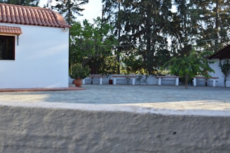 A peaceful residential courtyard with lush cedar trees and comfortable seating areas.