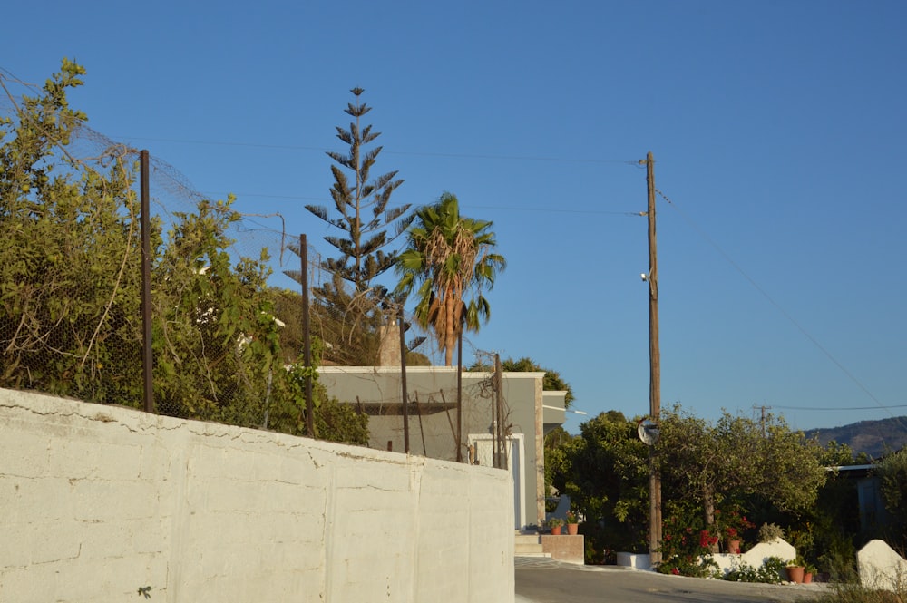 a house with a palm tree on the side of the road
