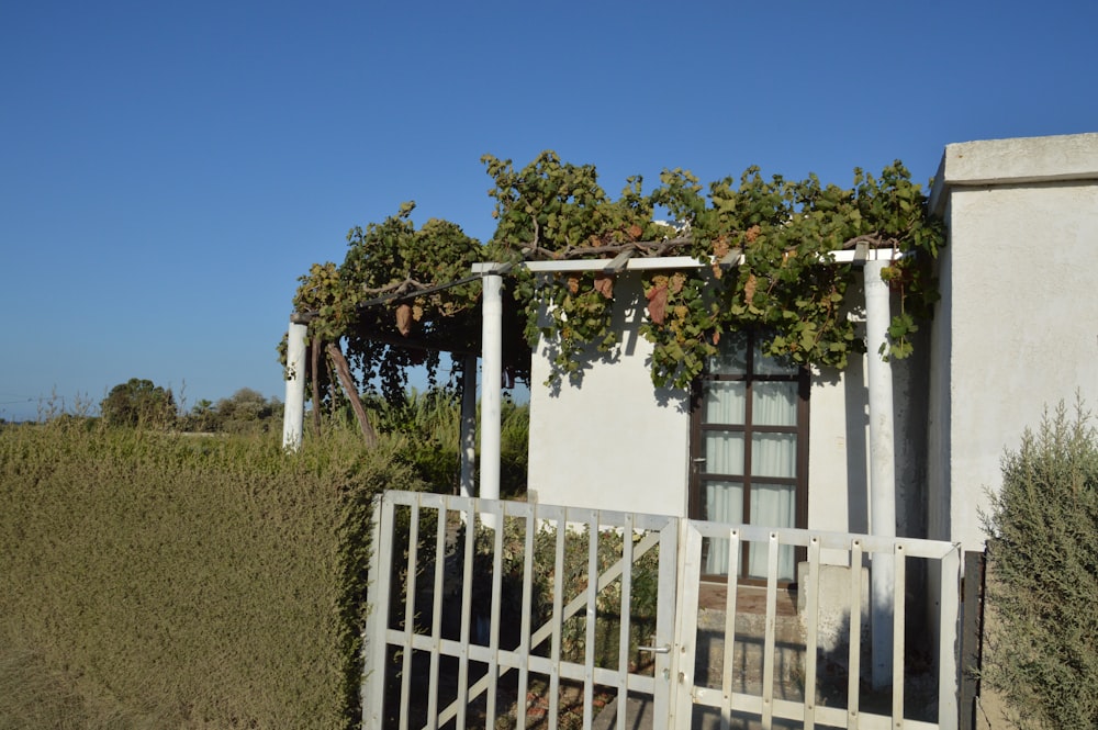 a white house with a gate and some bushes