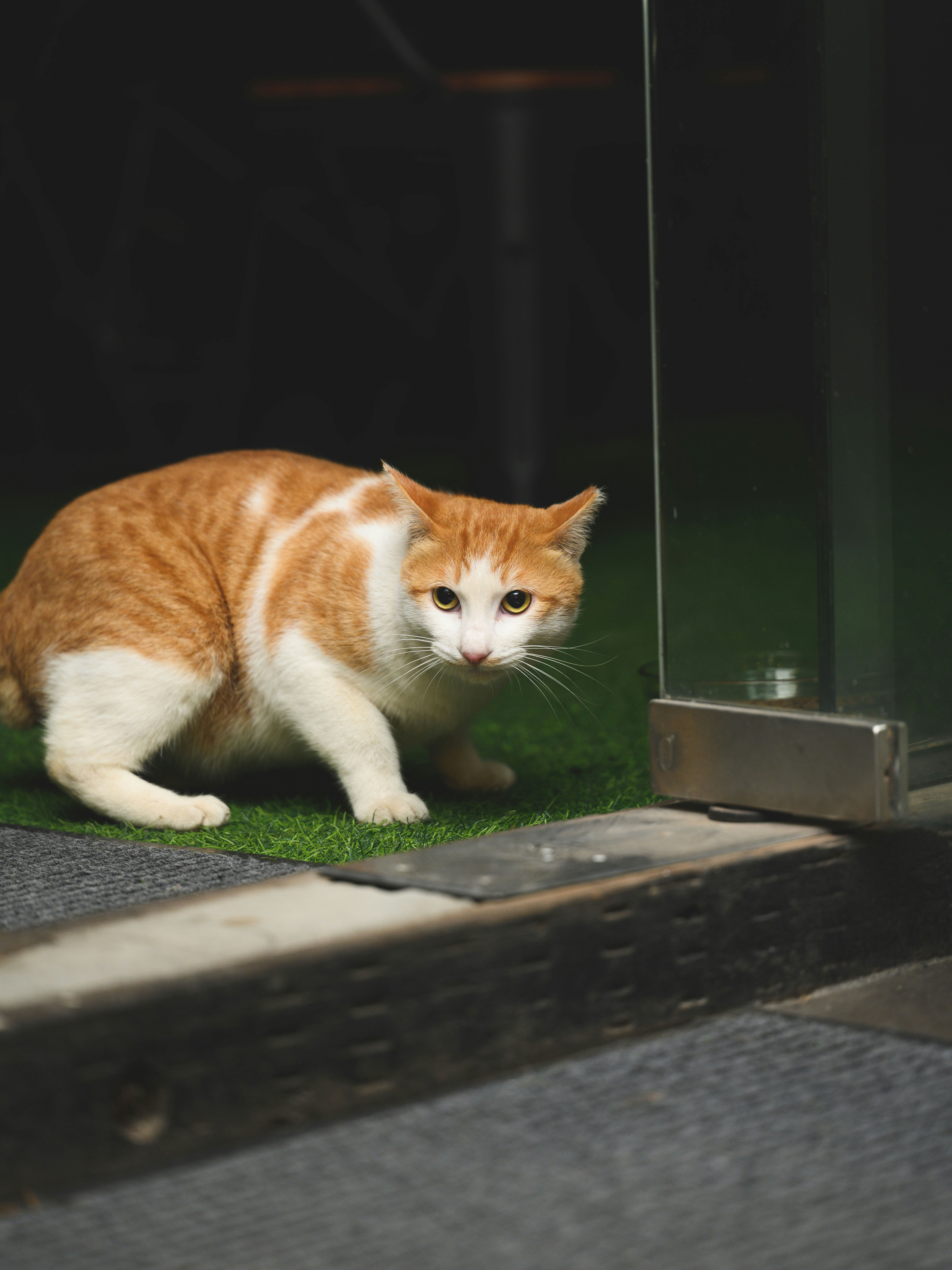 Photo by johnathanzhang