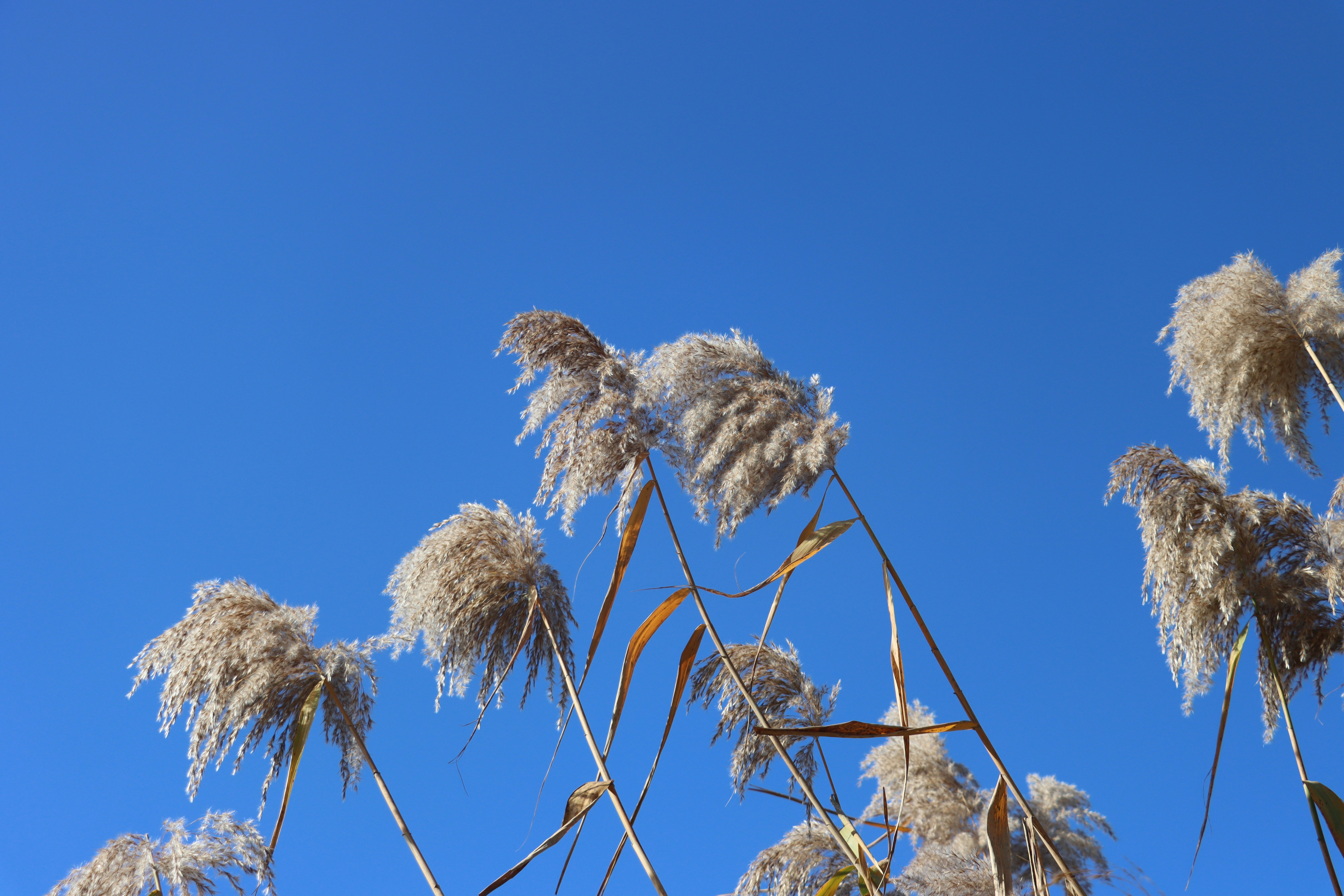 Photo by exploringzhongguo