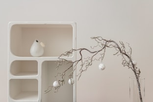 a vase with a branch in it next to a shelf with ornaments