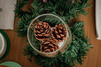three pine cones in a glass bowl on a table