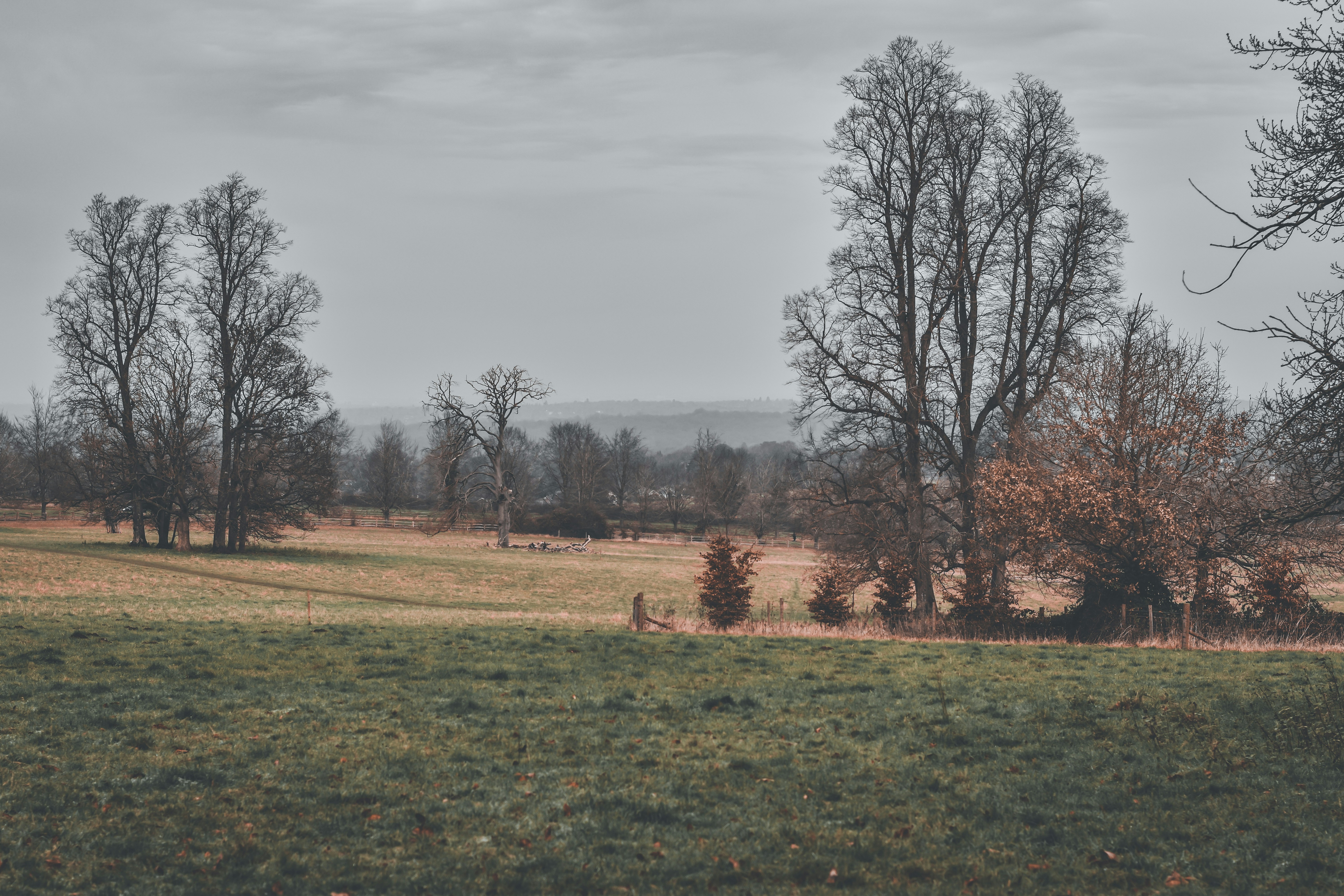 Photo by elliottmason