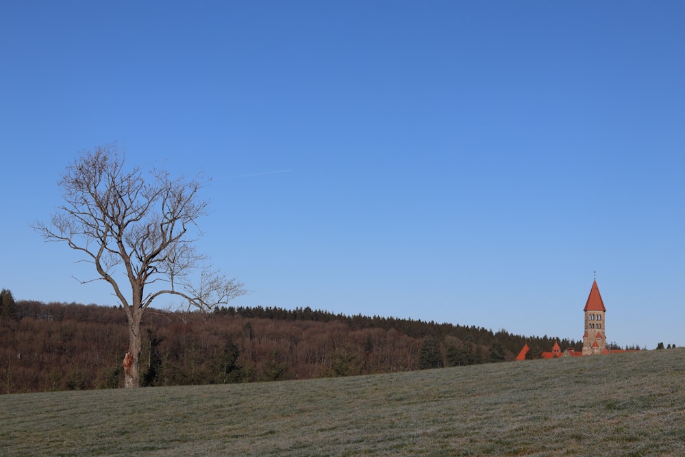 a lone tree on a hill with a sky background