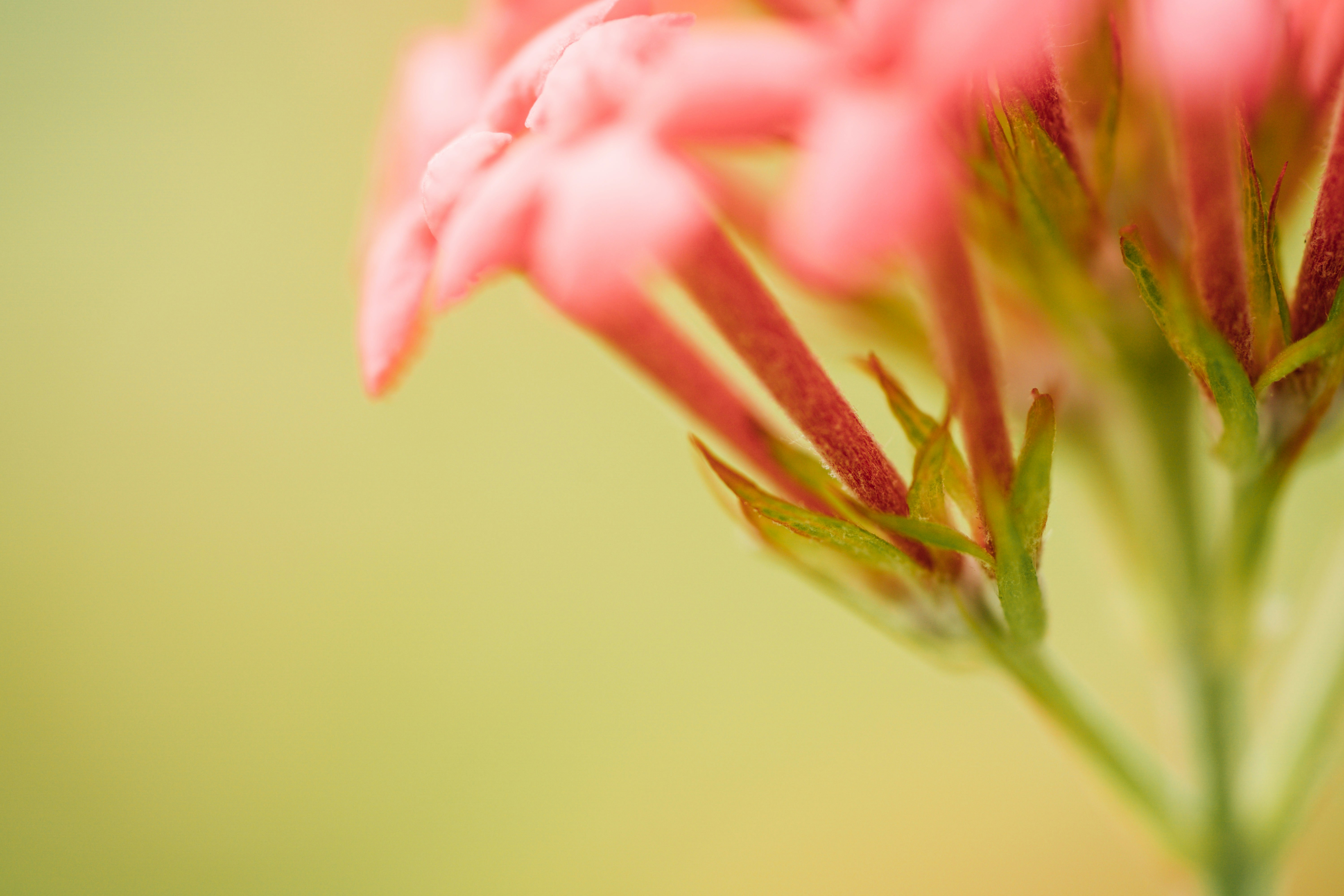 Photo by chuttersnap