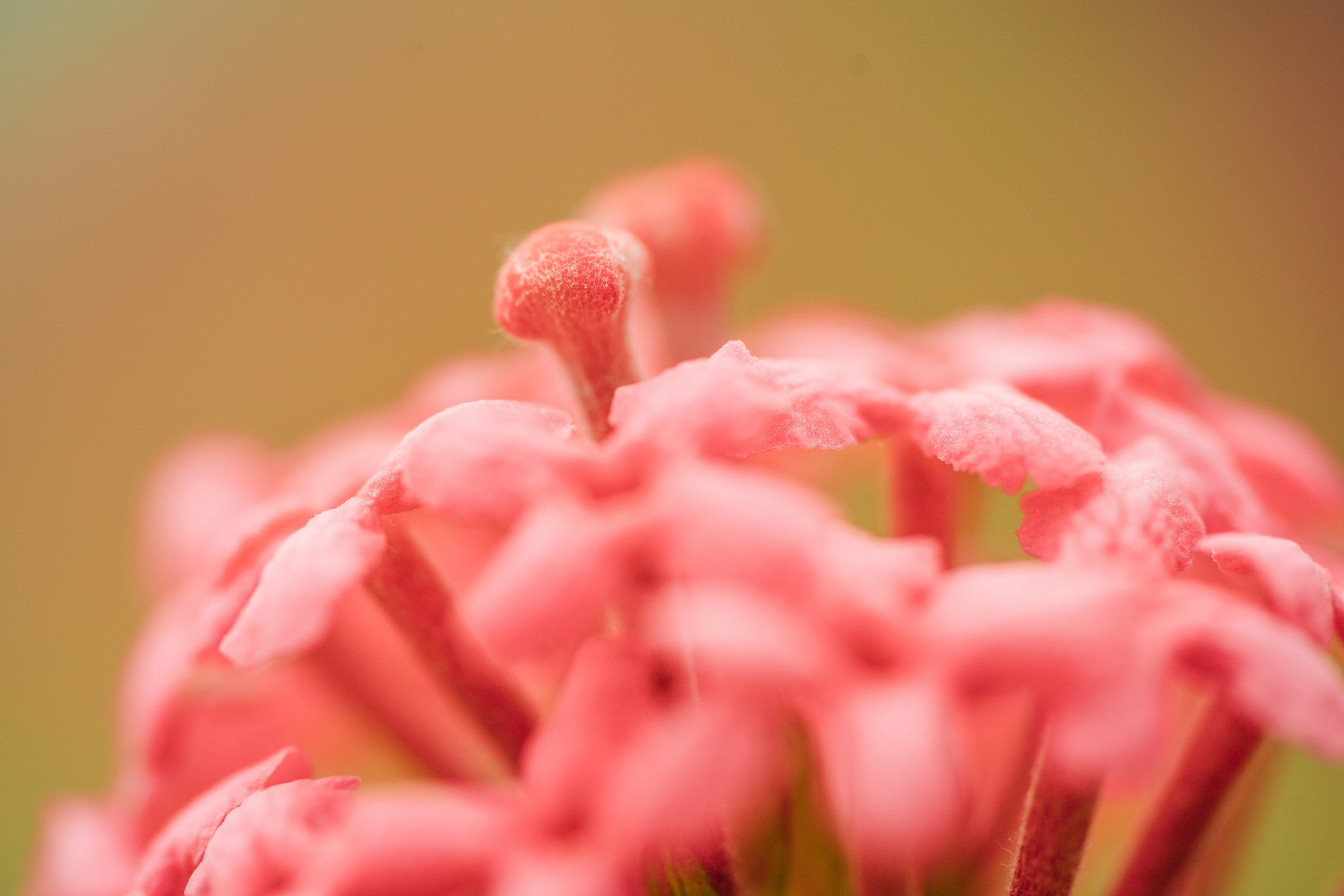 Photo by chuttersnap