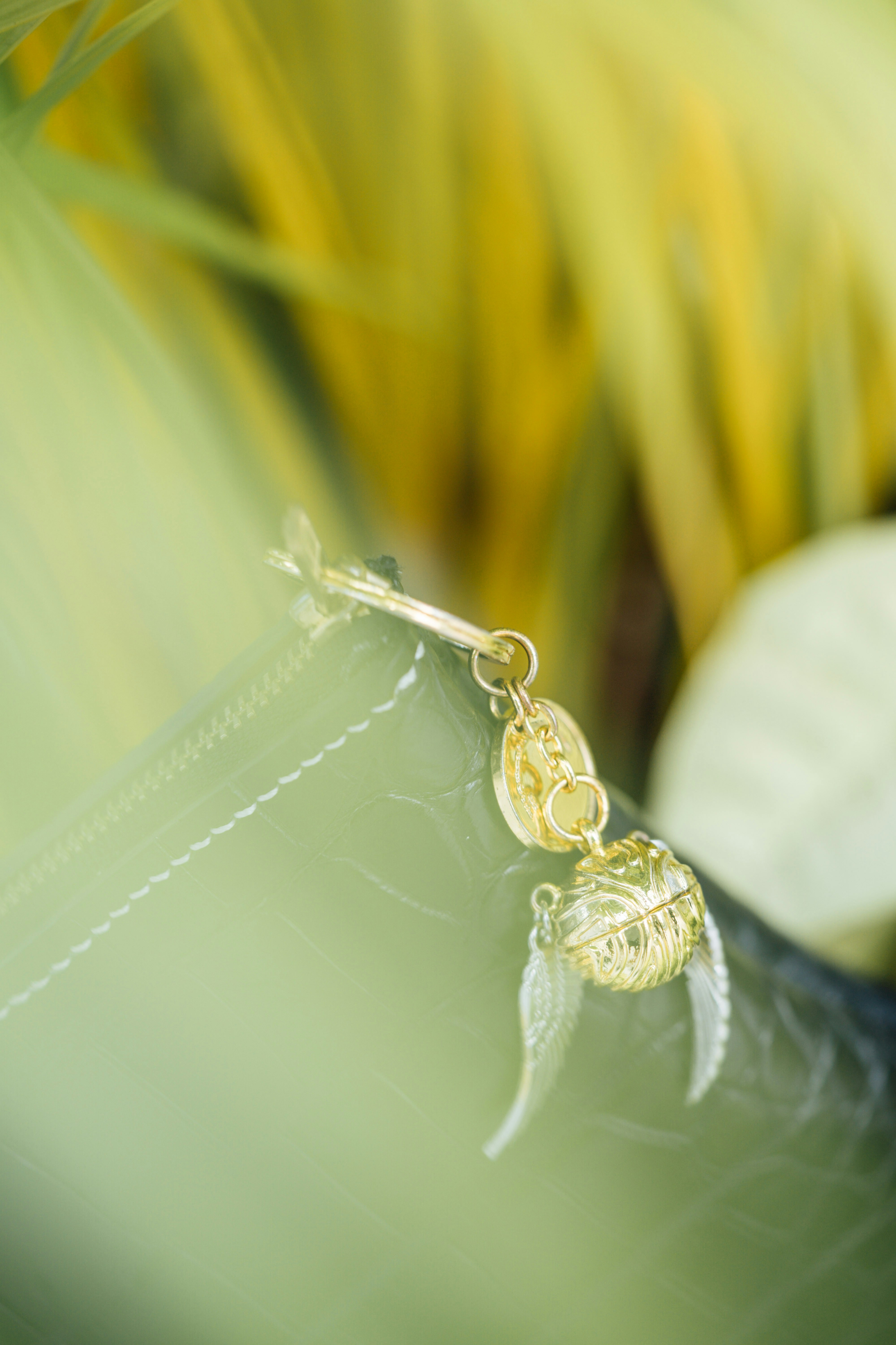 Photo by chuttersnap