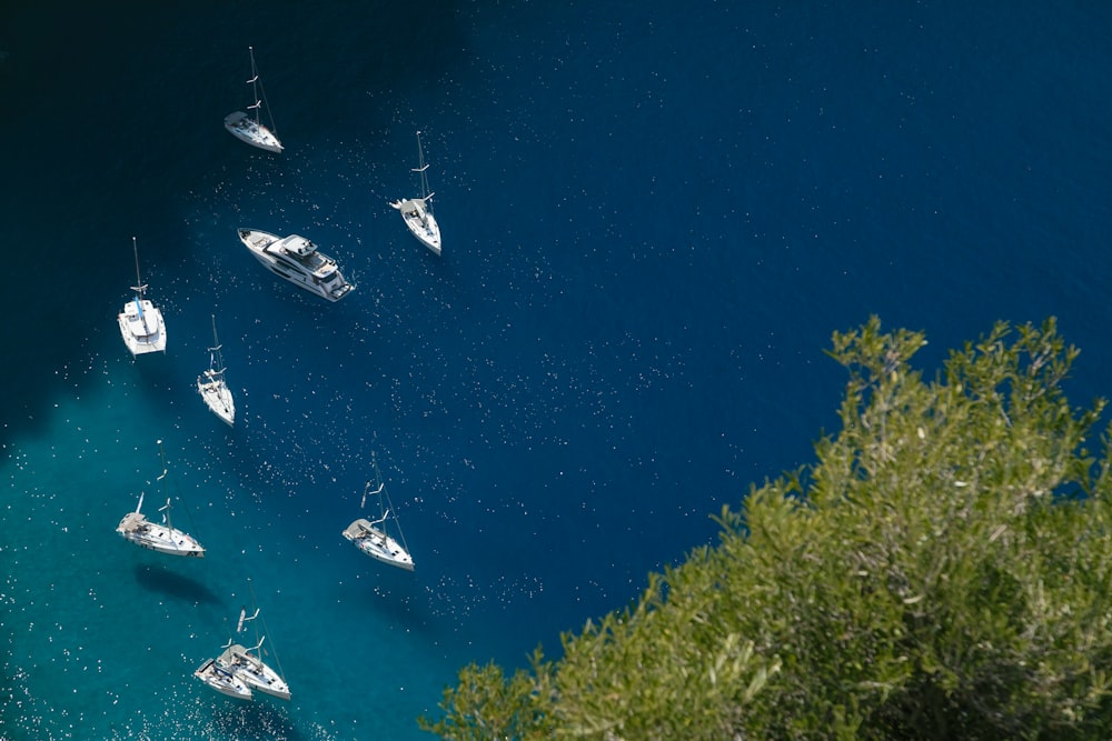 Un gruppo di barche galleggianti in cima a uno specchio d'acqua