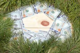 a bunch of money sitting on top of a wooden table