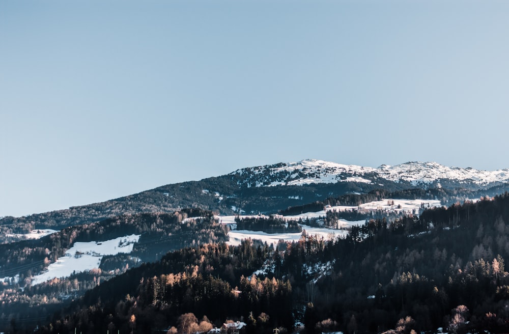 a snow covered mountain with a few trees on it