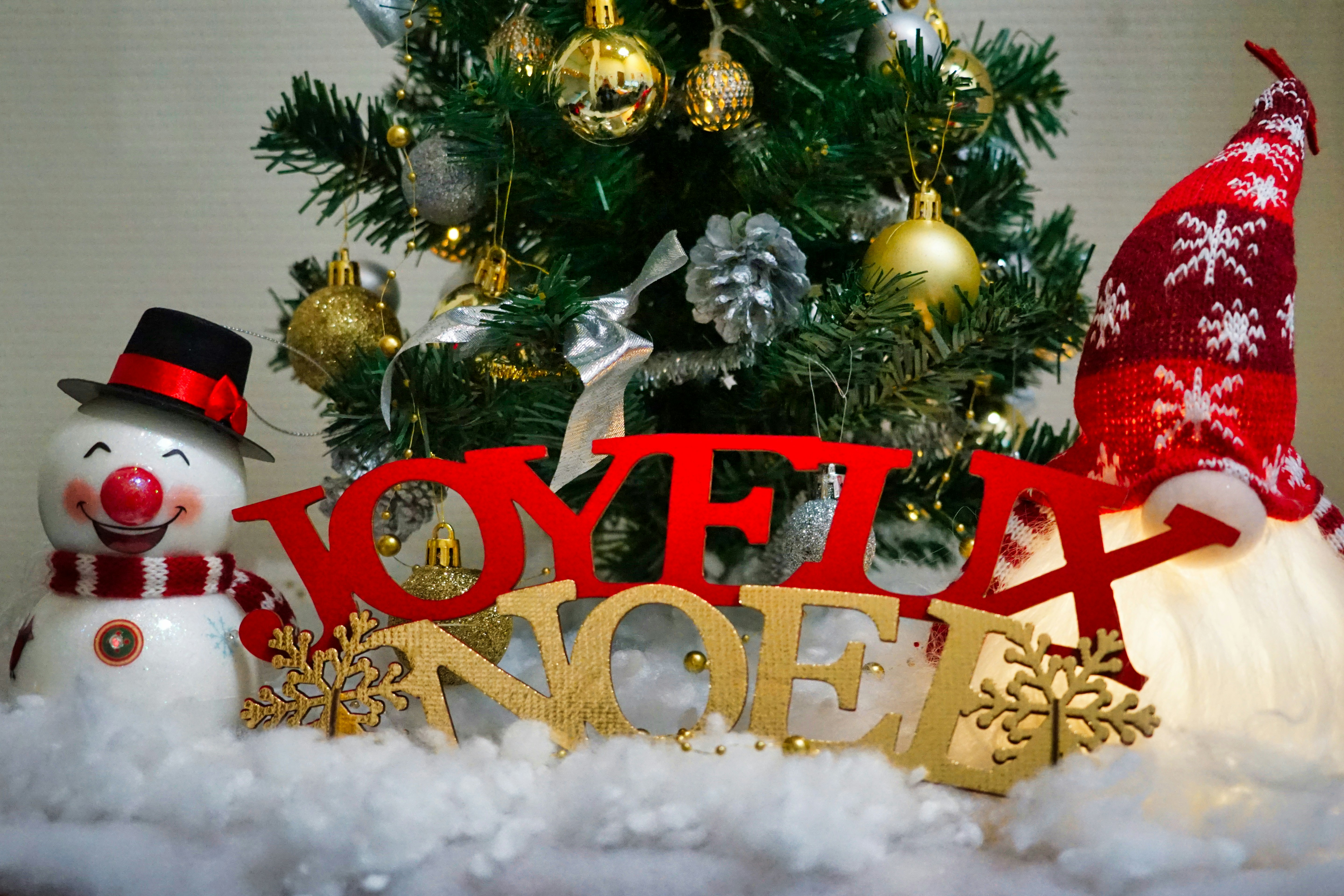 Vos fêtes de Noël à Perpignan vont se charger d’un débat qui n’a rien à voir avec la crèche