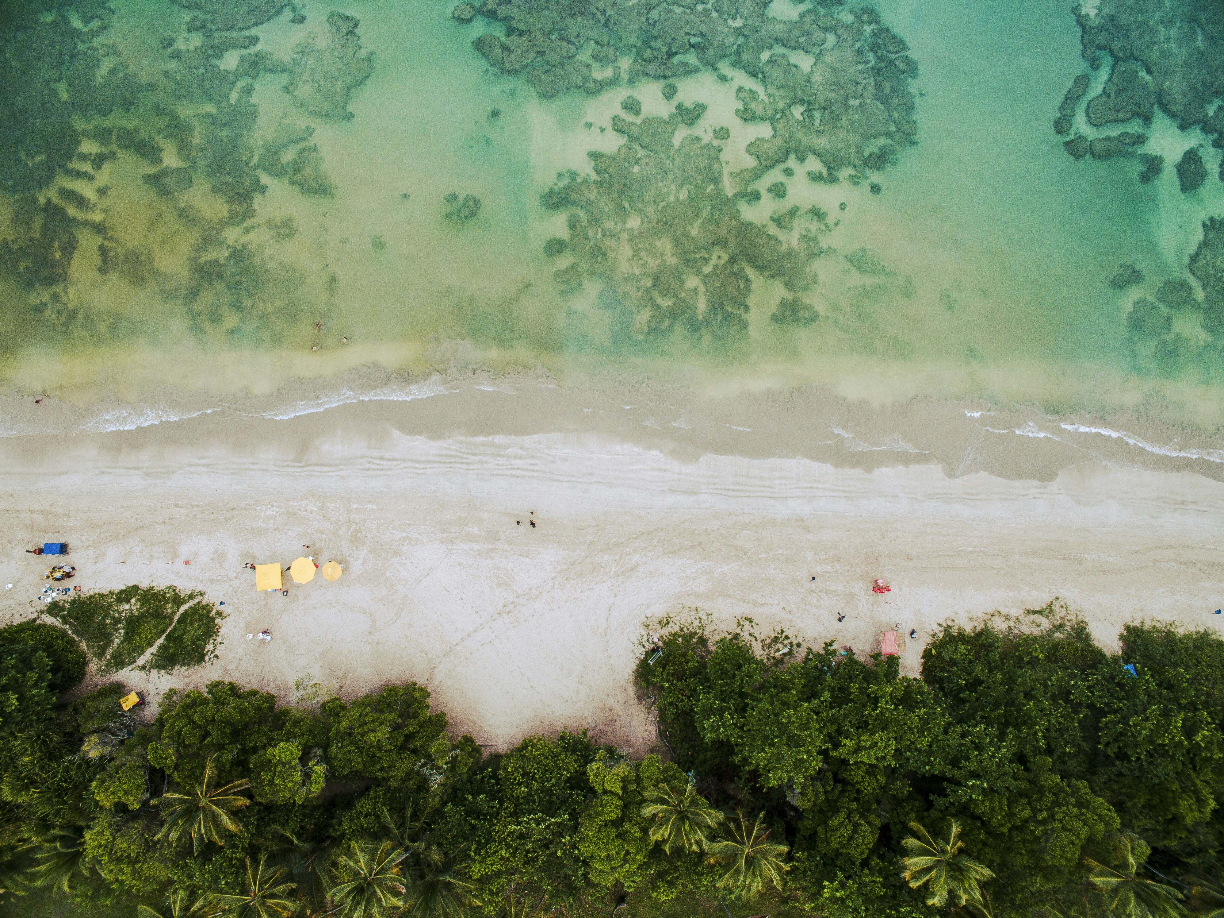 trip gallery picture